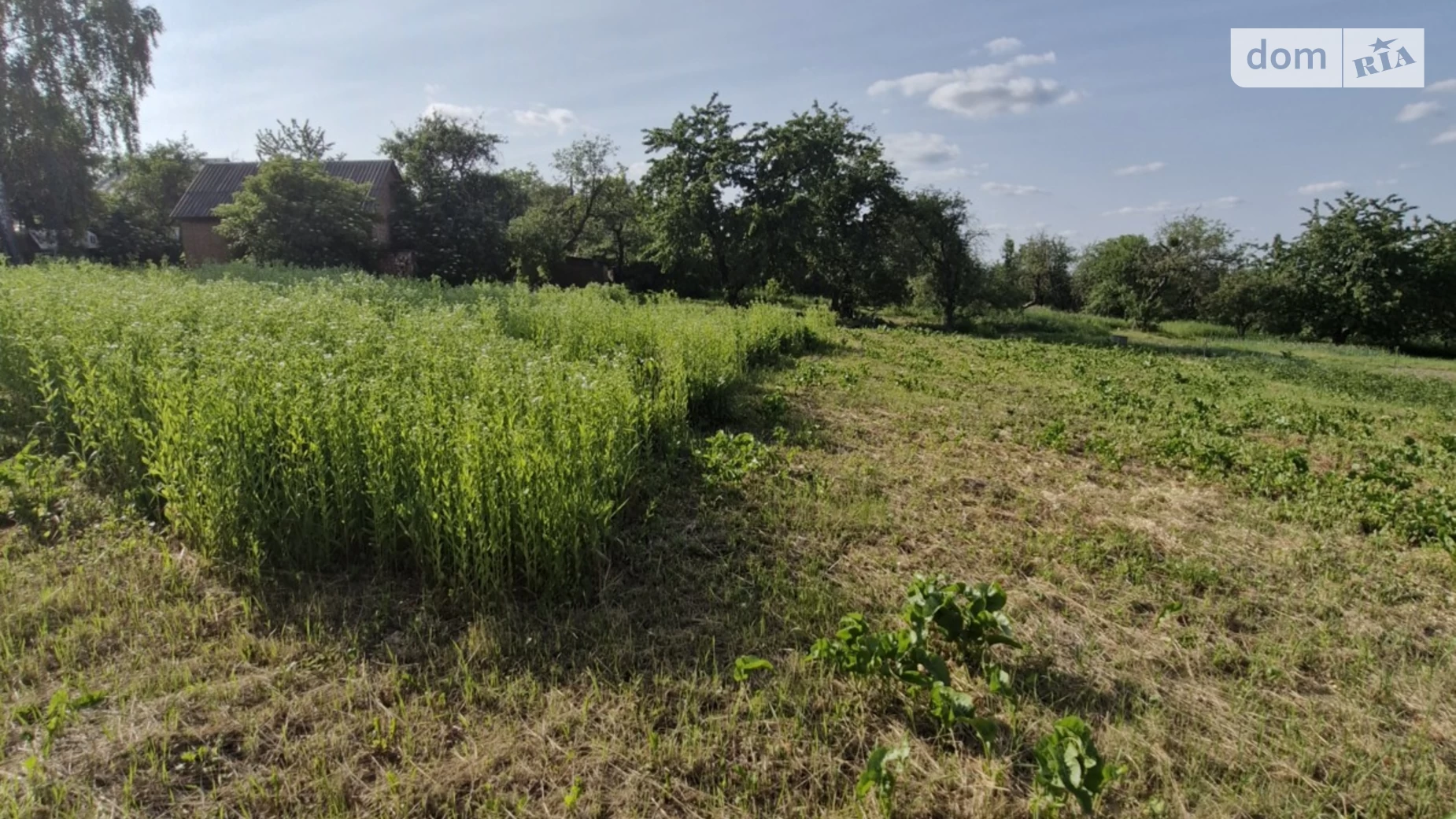 вул. Геталка Вінницькі Хутори, цена: 80000 $ - фото 3