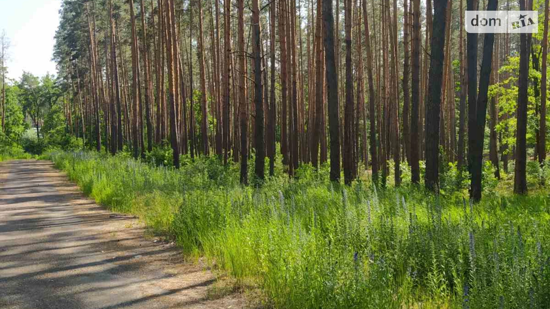 Продается земельный участок 23 соток в Киевской области, цена: 276000 $ - фото 2