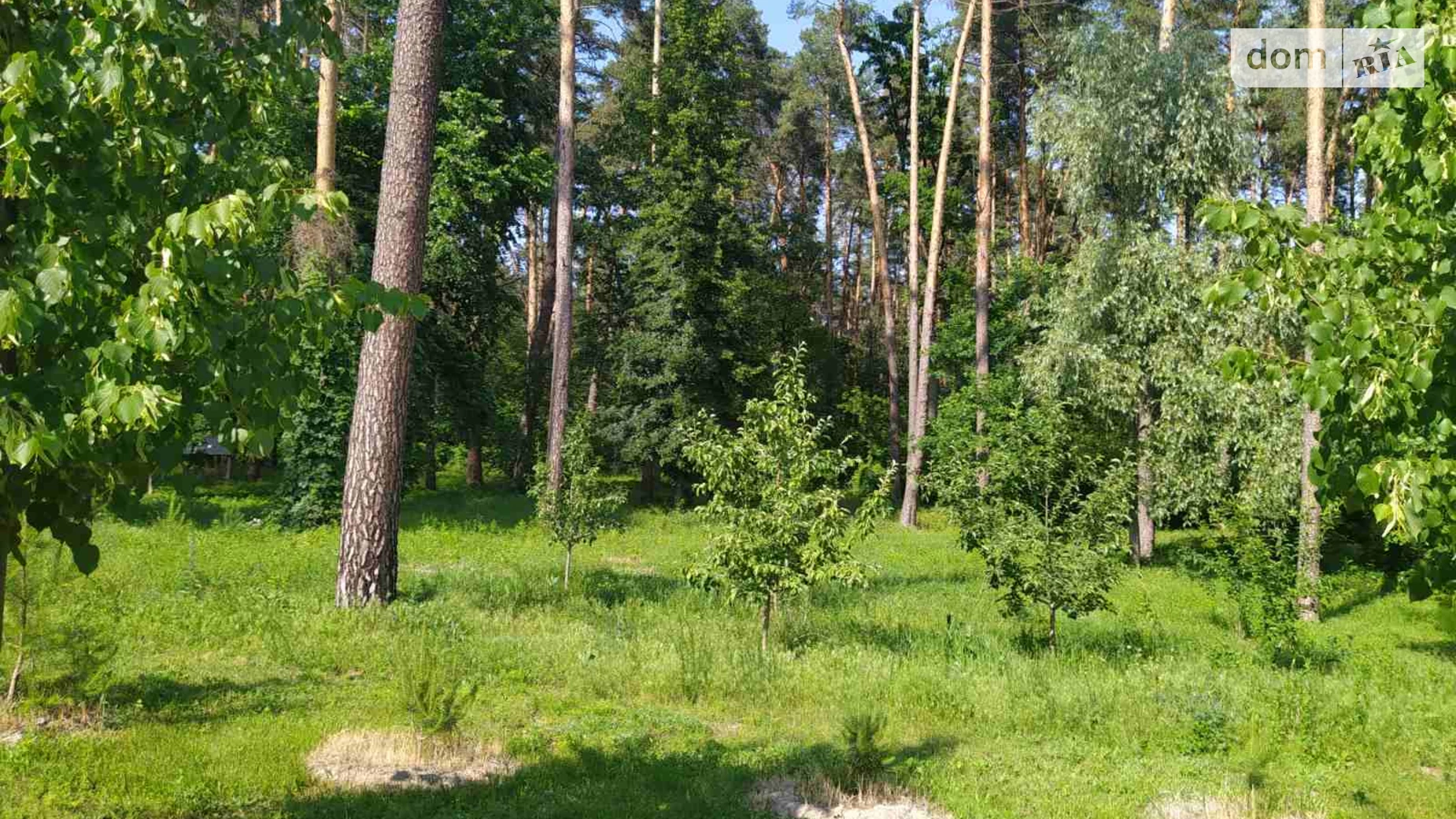 вул. Лісова Гореничі, цена: 99000 $ - фото 2
