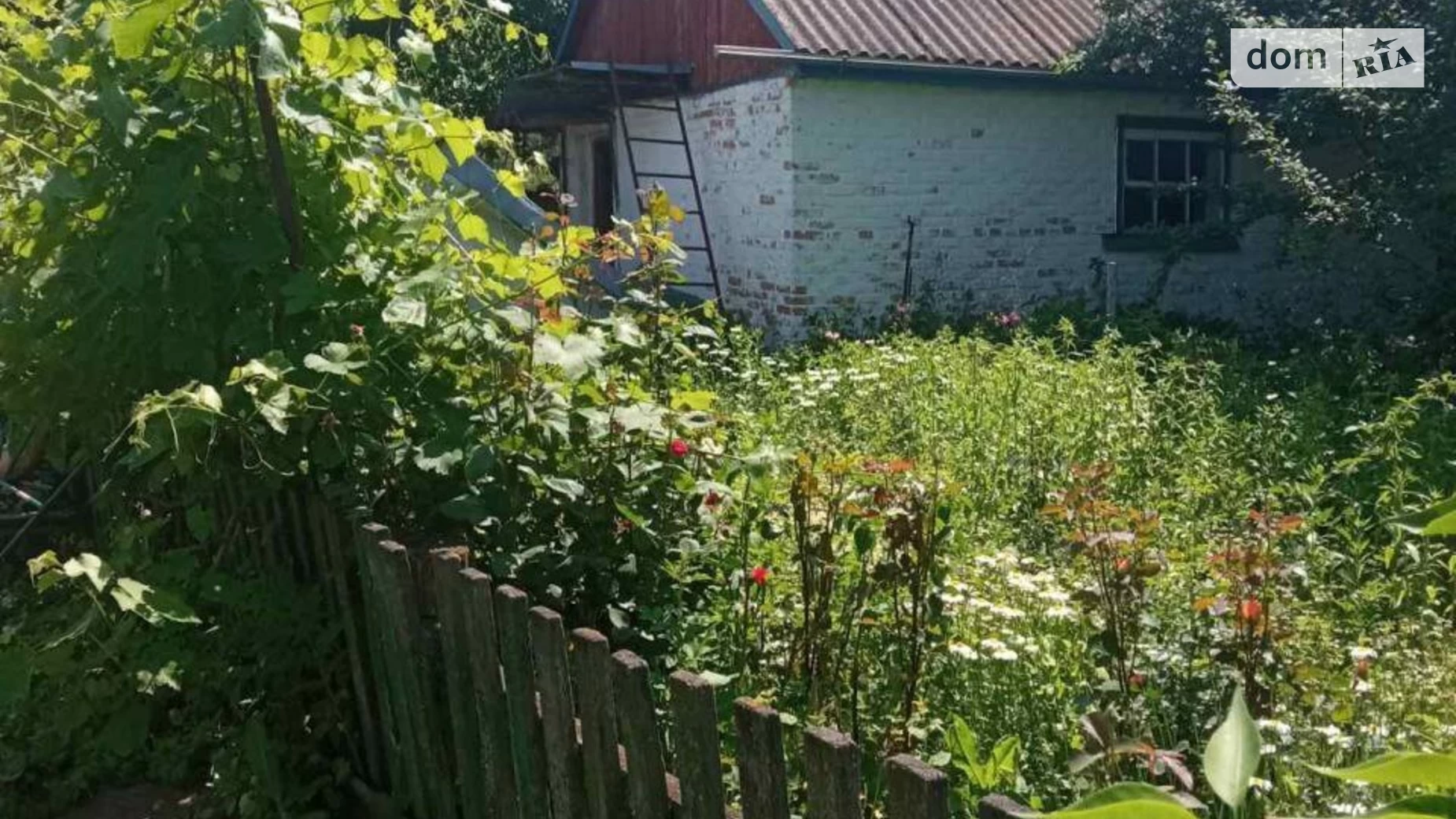 Продається одноповерховий будинок 72 кв. м з банею/сауною, цена: 2000 $ - фото 4