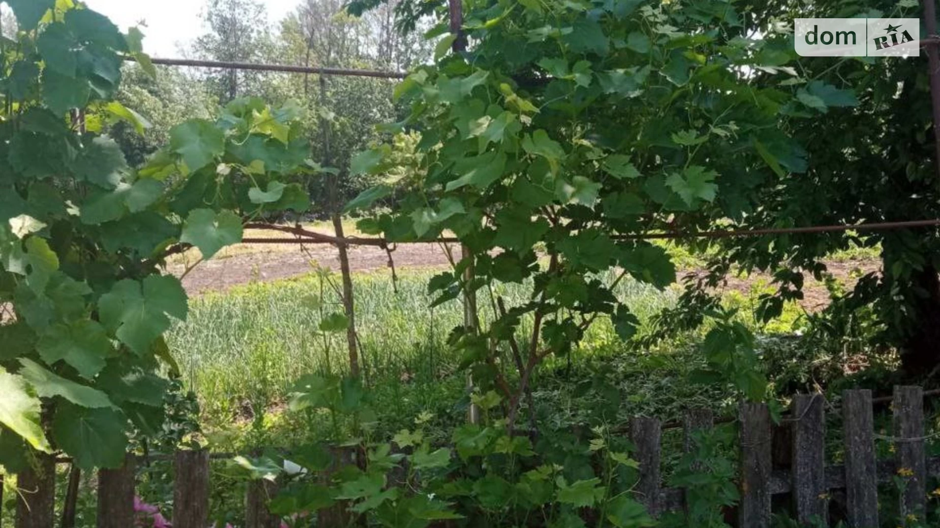 Продається одноповерховий будинок 72 кв. м з банею/сауною, цена: 2000 $ - фото 5