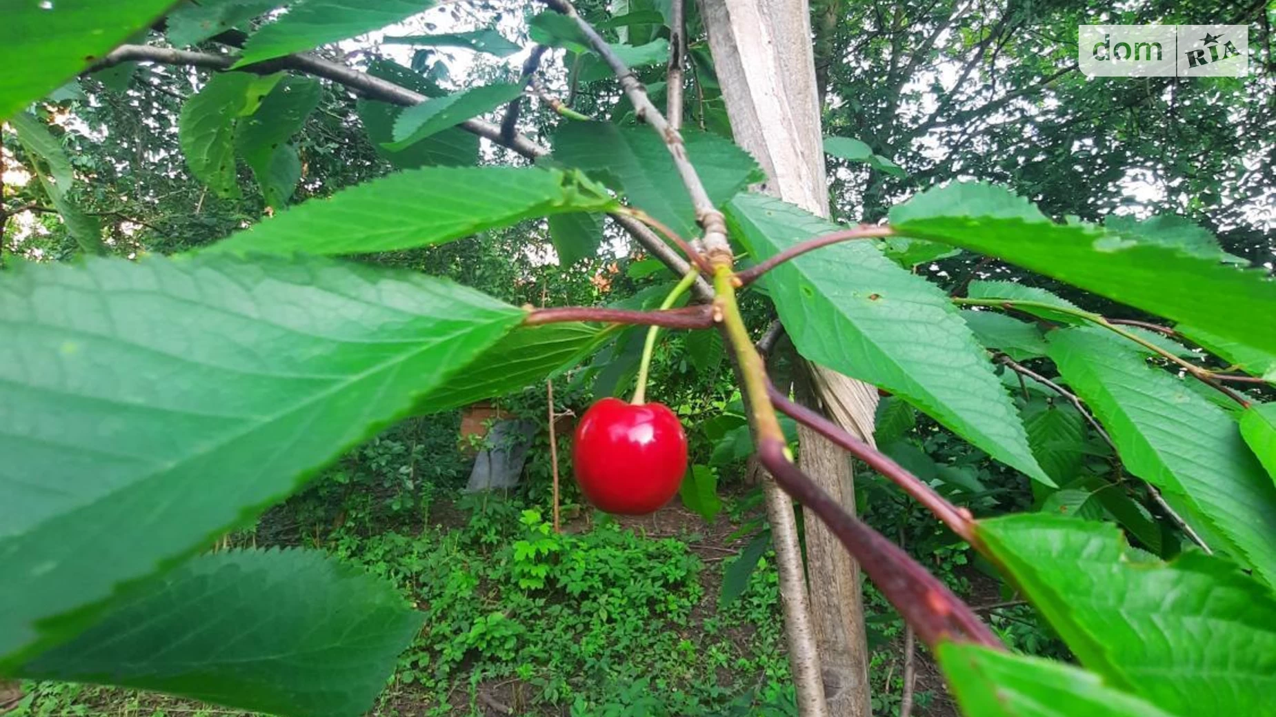 Продається будинок 2 поверховий 240 кв. м з меблями, цена: 87000 $ - фото 3