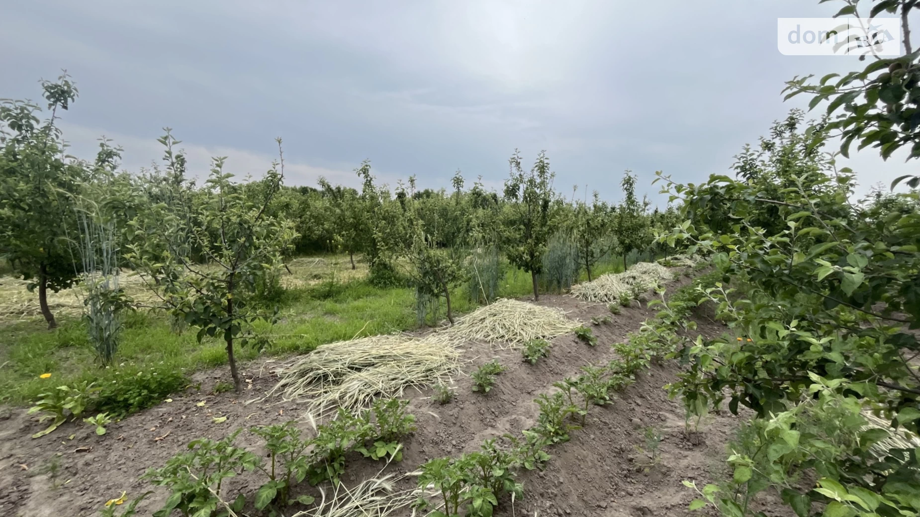 вул. Набережна Ксаверівка, цена: 45000 $ - фото 5