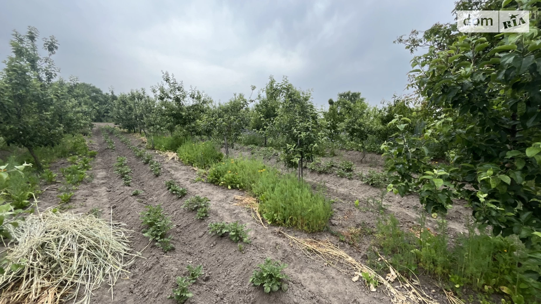 вул. Набережна Ксаверівка, цена: 45000 $ - фото 4