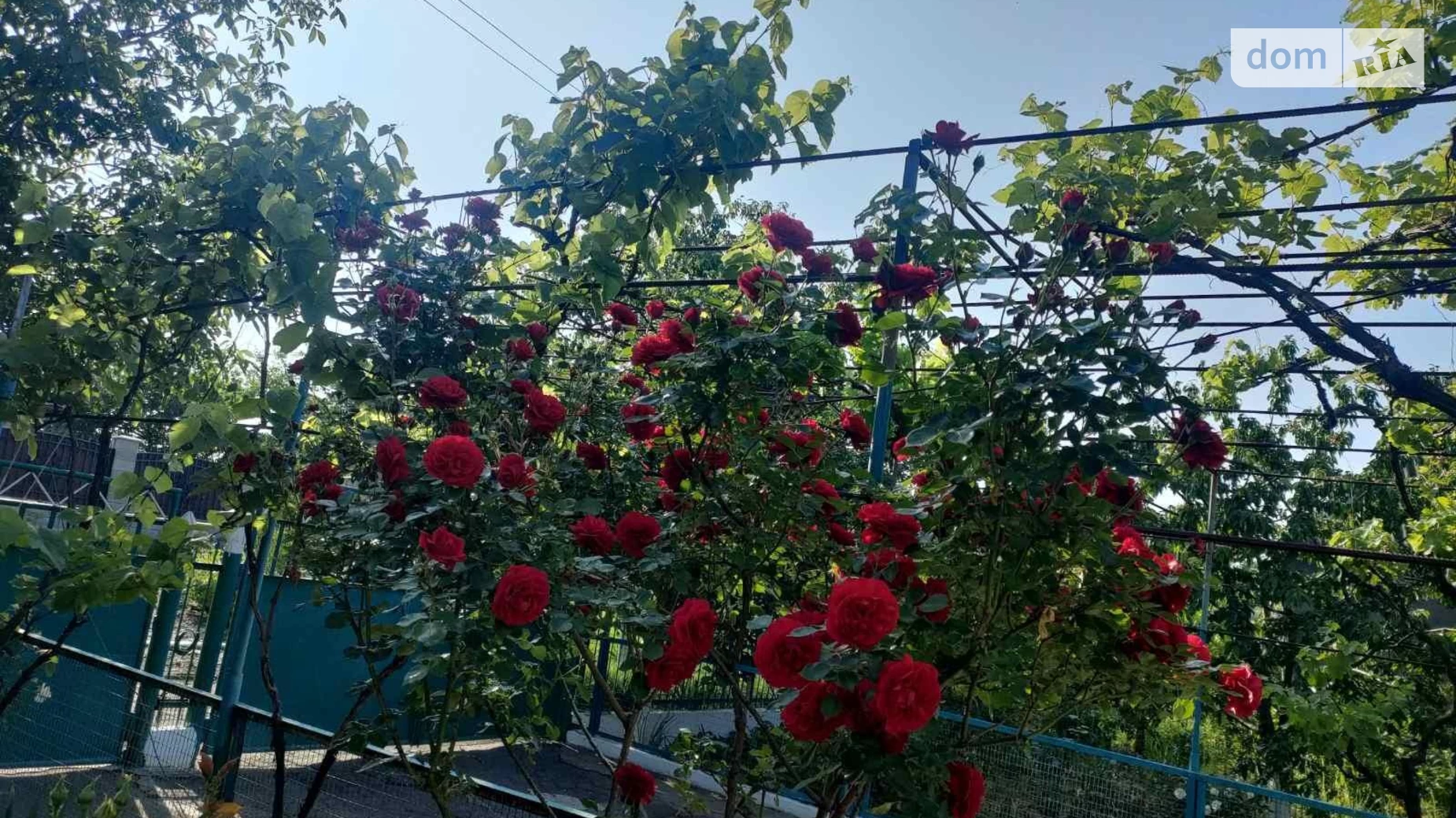 Продается одноэтажный дом 70 кв. м с садом, цена: 36000 $ - фото 3