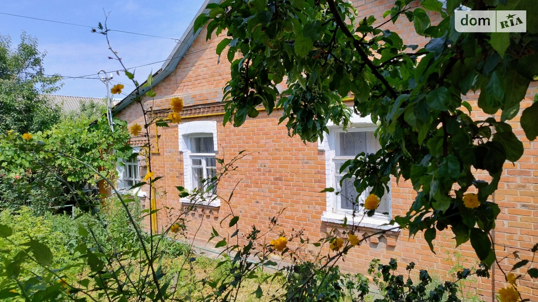 Продається одноповерховий будинок 120 кв. м з ділянкою, цена: 50000 $ - фото 3
