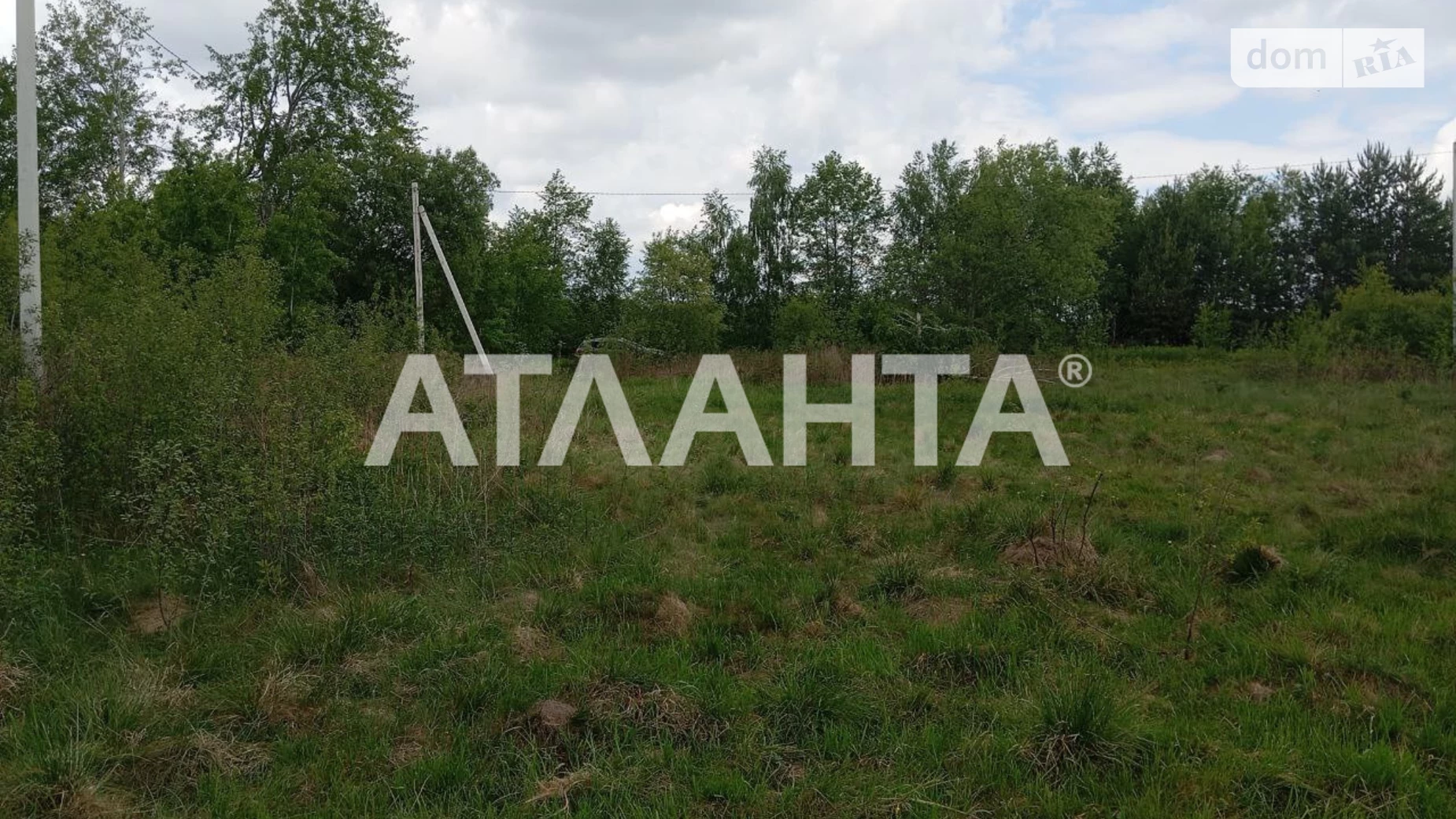 Бор-Кунинский, цена: 8000 $ - фото 2