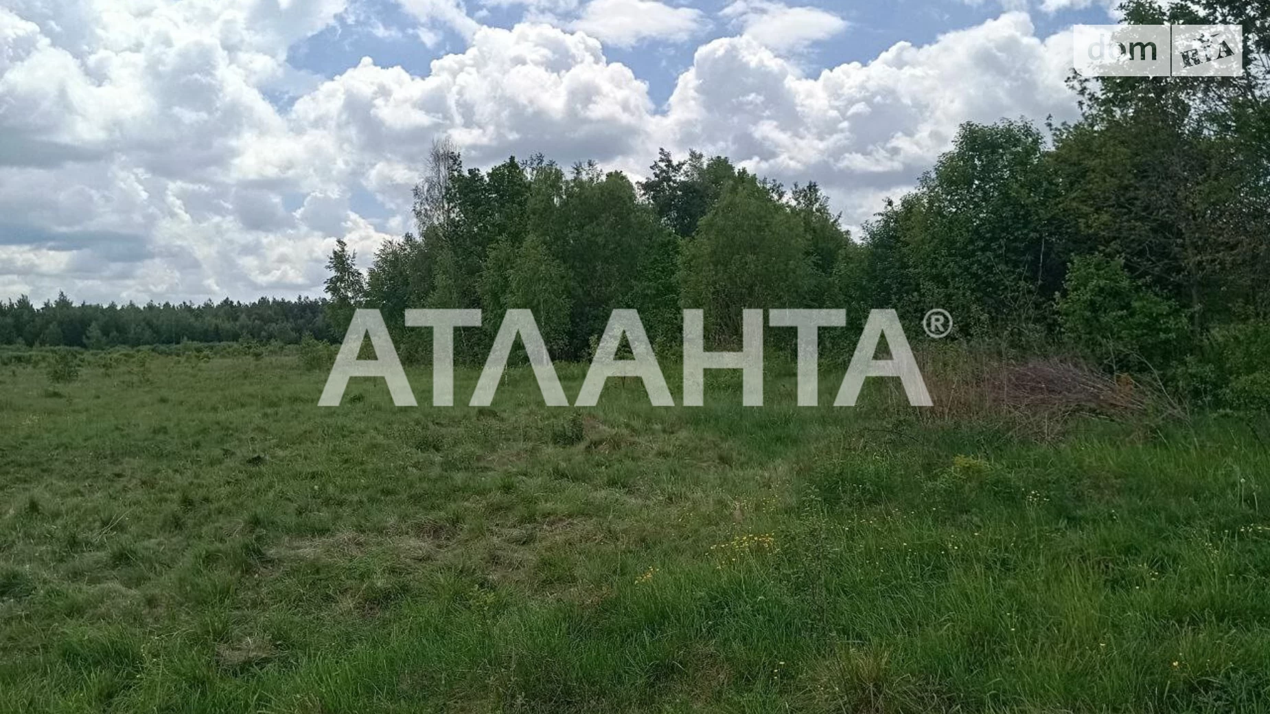 Бор-Кунинский, цена: 8000 $ - фото 3