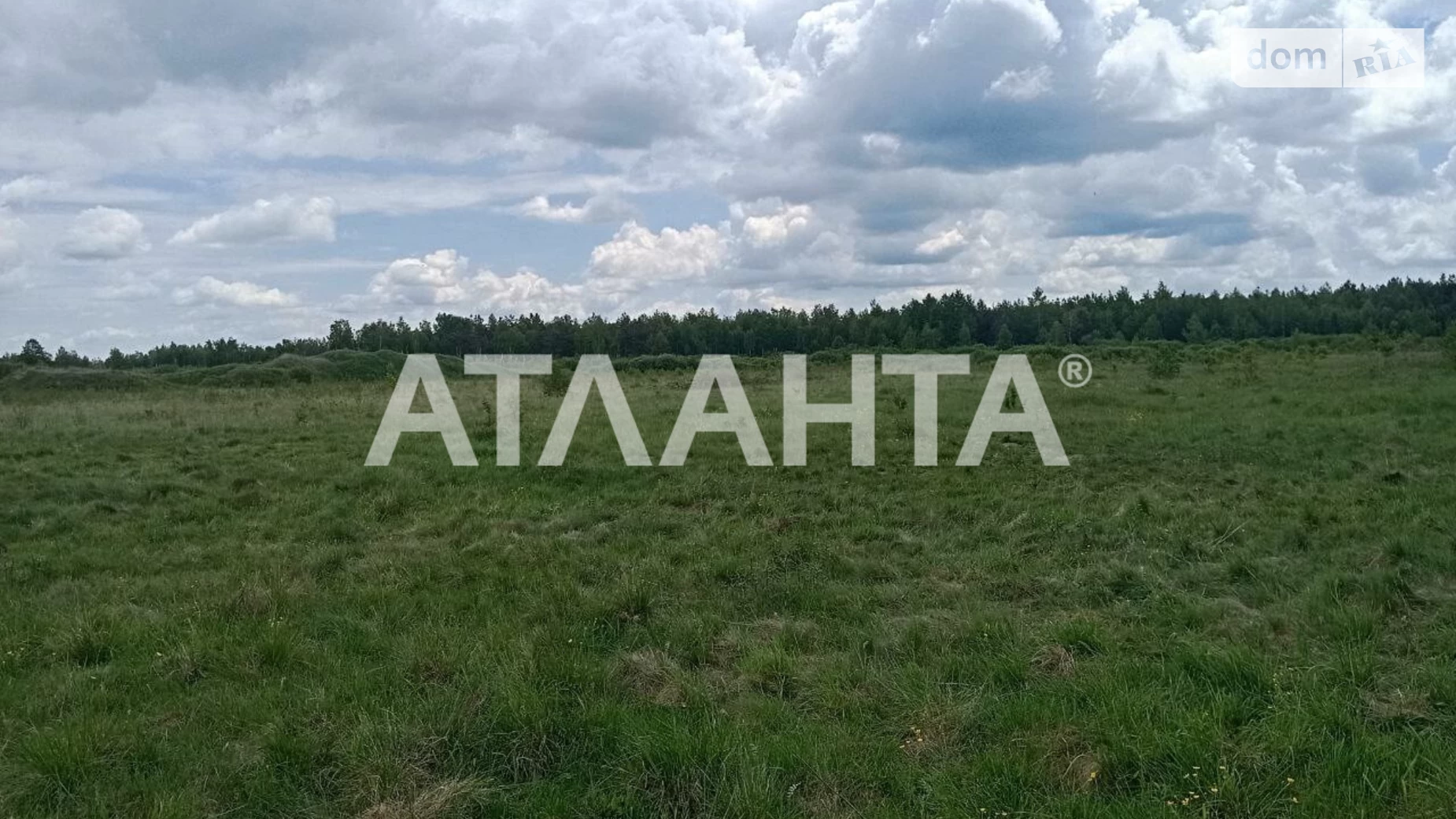 Бор-Кунинский, цена: 8000 $ - фото 4