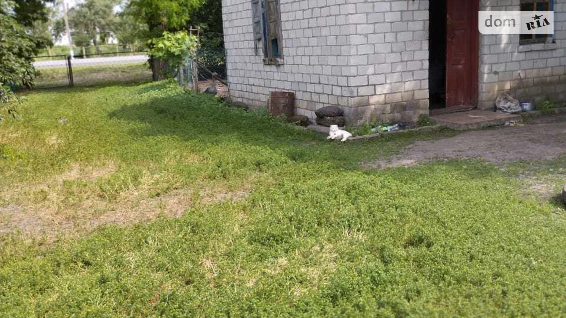 Продается одноэтажный дом 50 кв. м с подвалом, цена: 4100 $ - фото 4