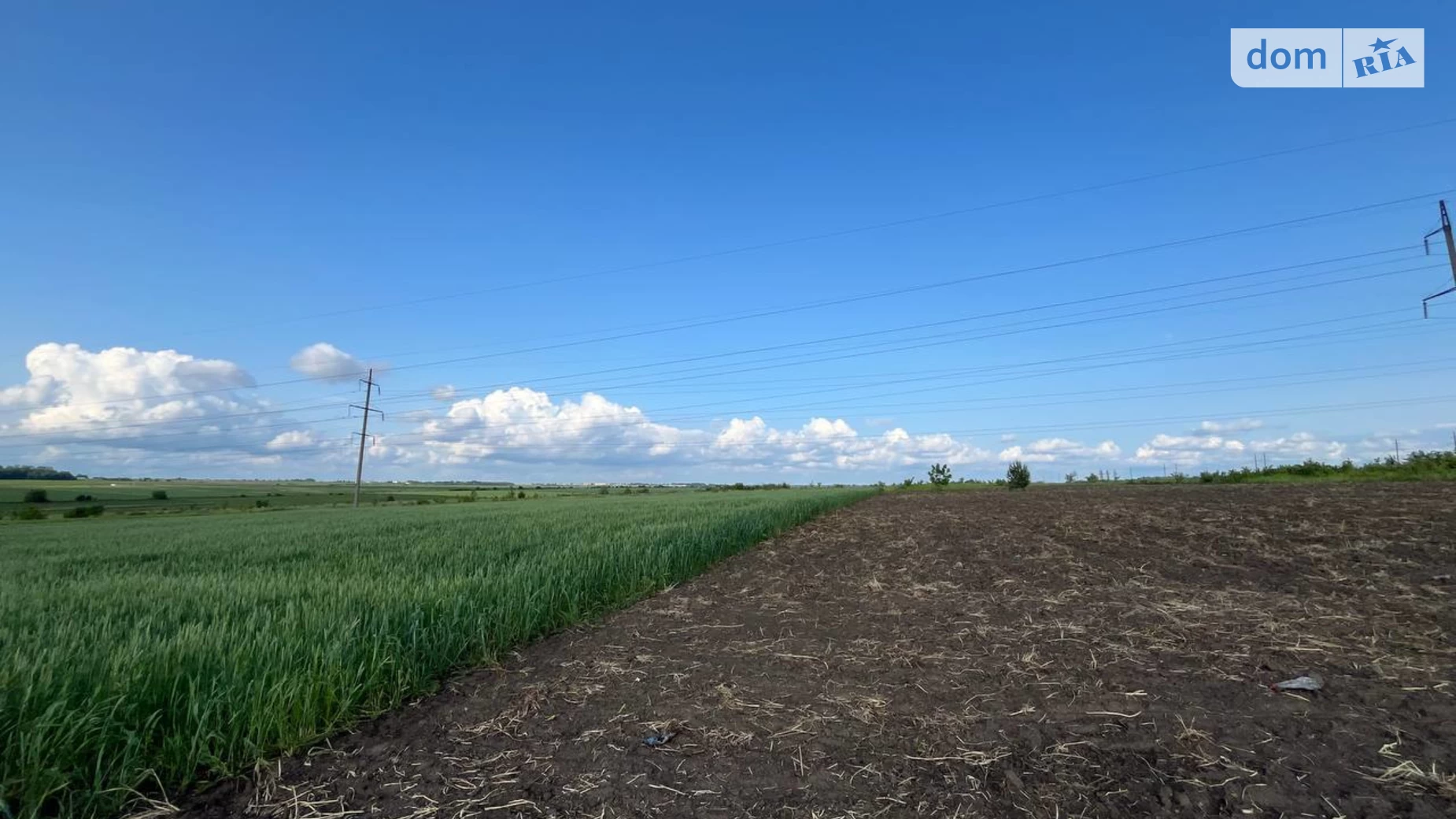Продается земельный участок 8 соток в Тернопольской области, цена: 4500 $ - фото 5