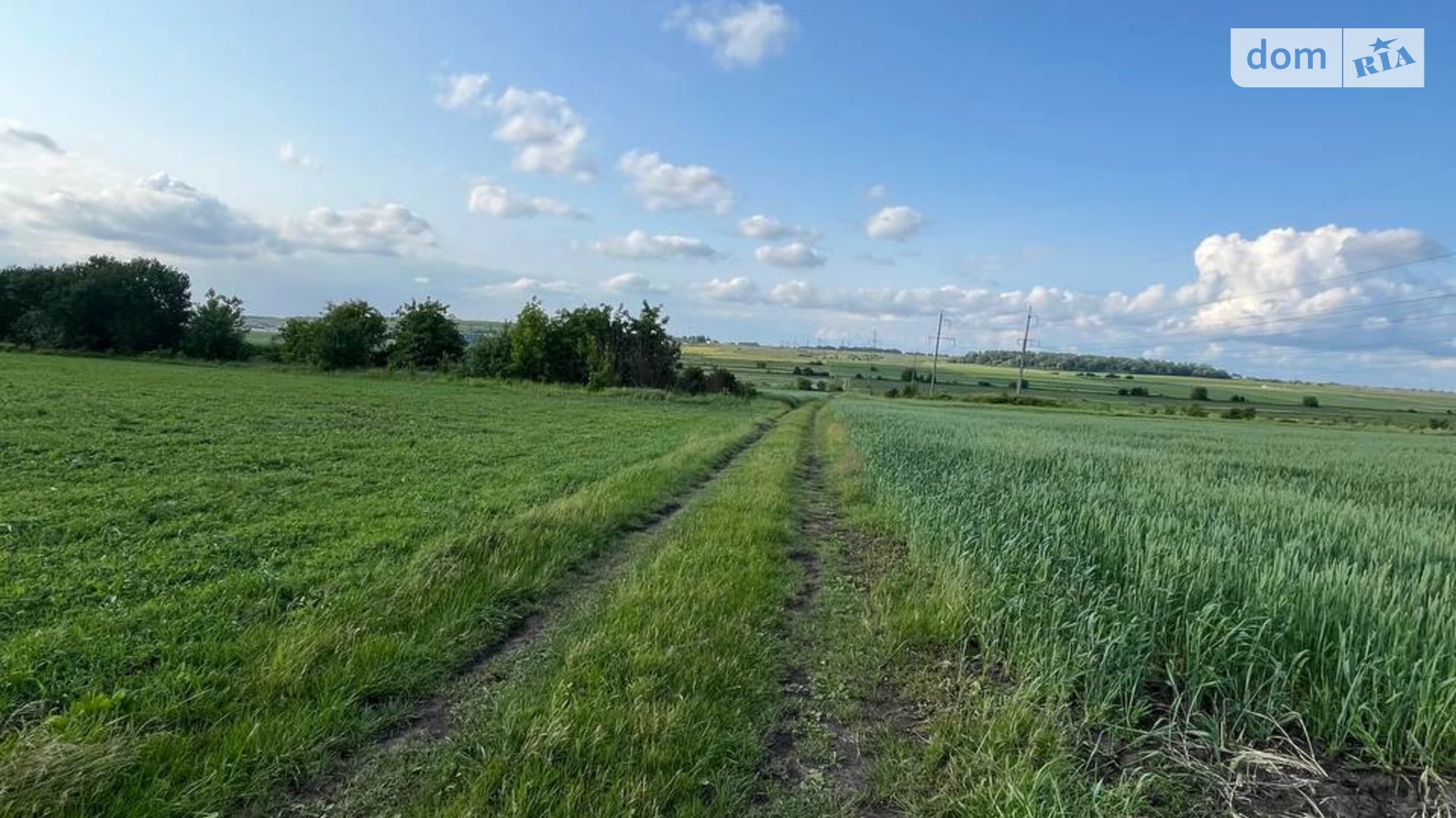 Продается земельный участок 8 соток в Тернопольской области, цена: 4500 $ - фото 4