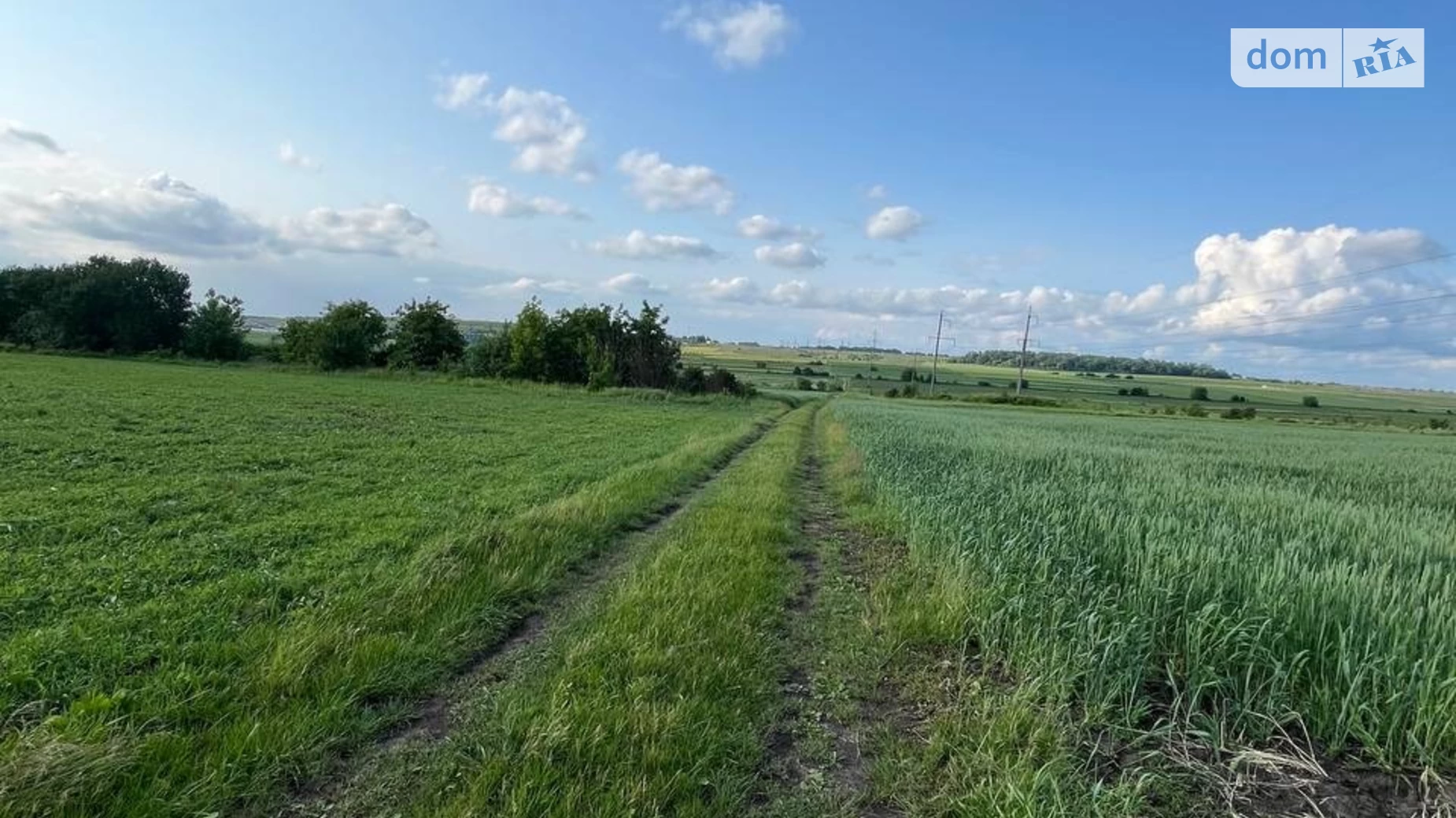 Продается земельный участок 8 соток в Тернопольской области, цена: 4500 $ - фото 3