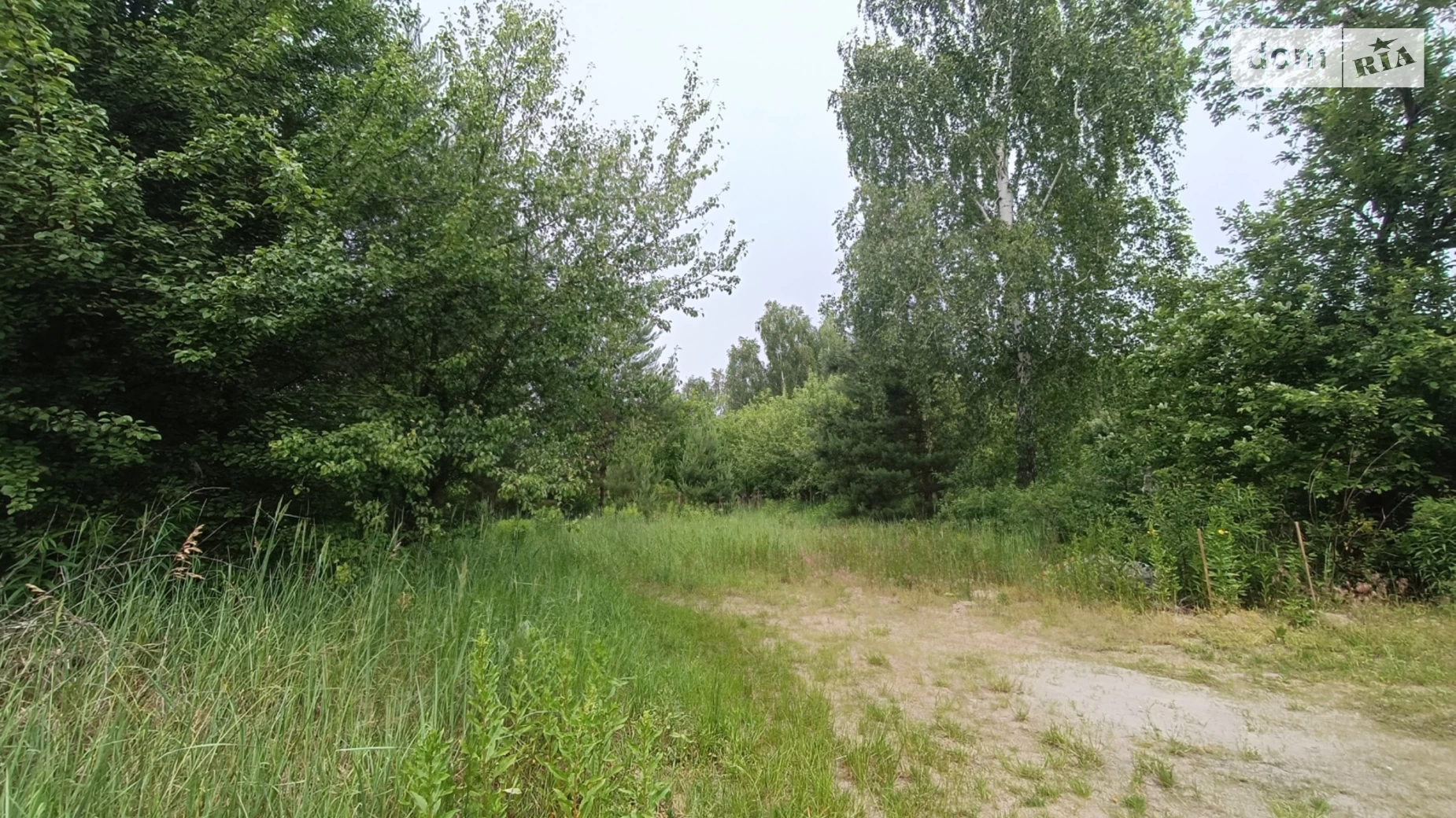 Миколаївка (Макарів), цена: 6000 $ - фото 4