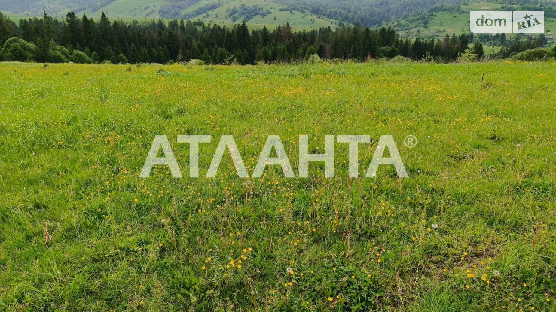 Волосянка, цена: 100000 $ - фото 4