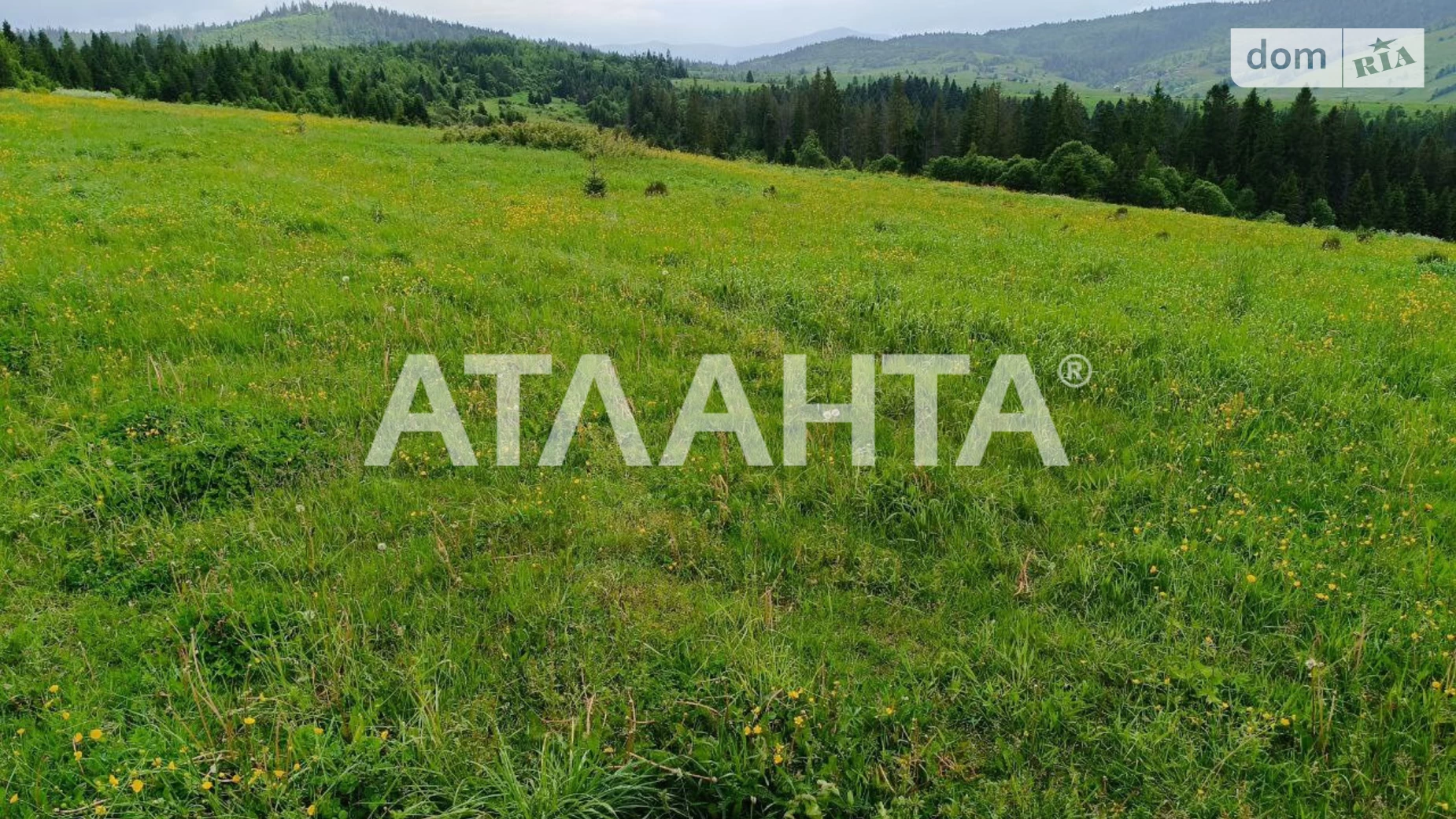 Волосянка, цена: 100000 $ - фото 5