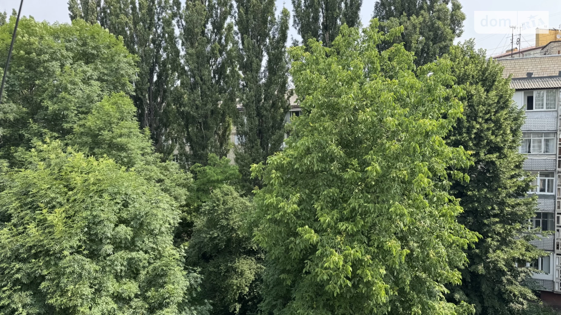 Продается 3-комнатная квартира 59 кв. м в Черновцах, ул. Героев Майдана, 65А - фото 2
