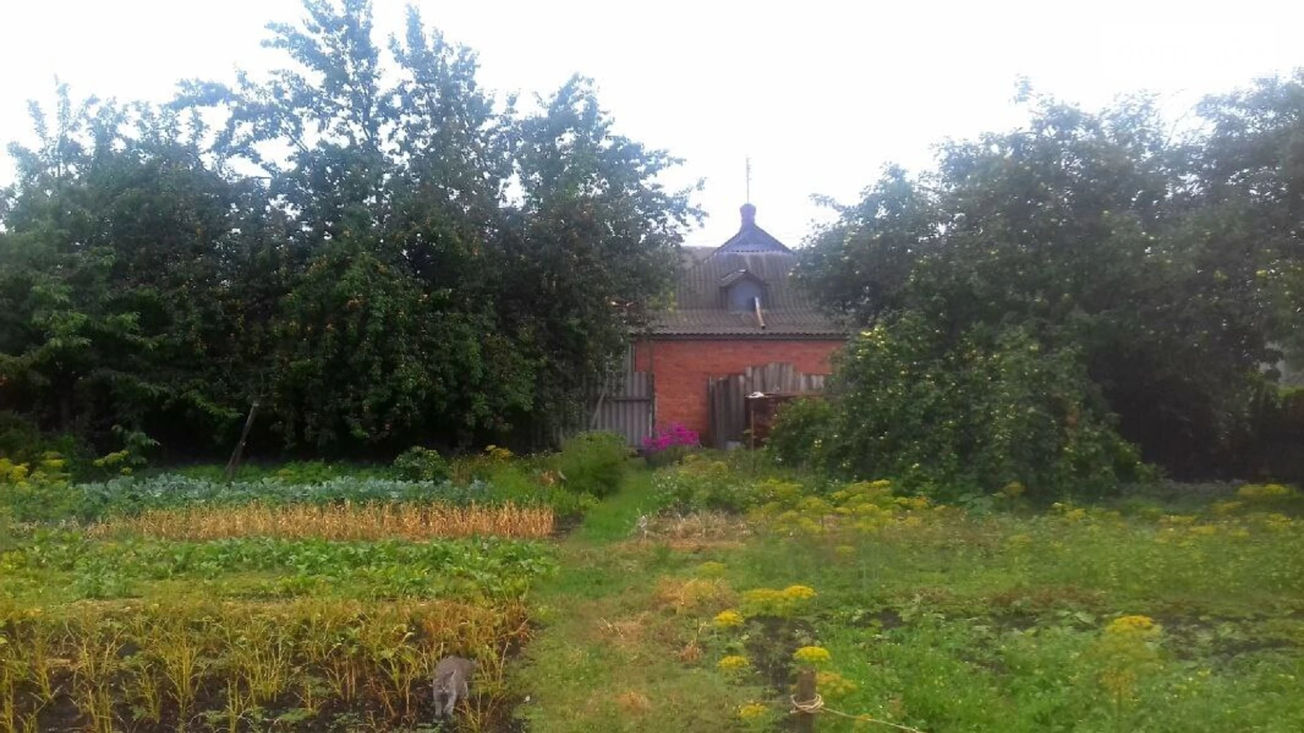 Продается одноэтажный дом 78 кв. м с беседкой, цена: 17500 $ - фото 5