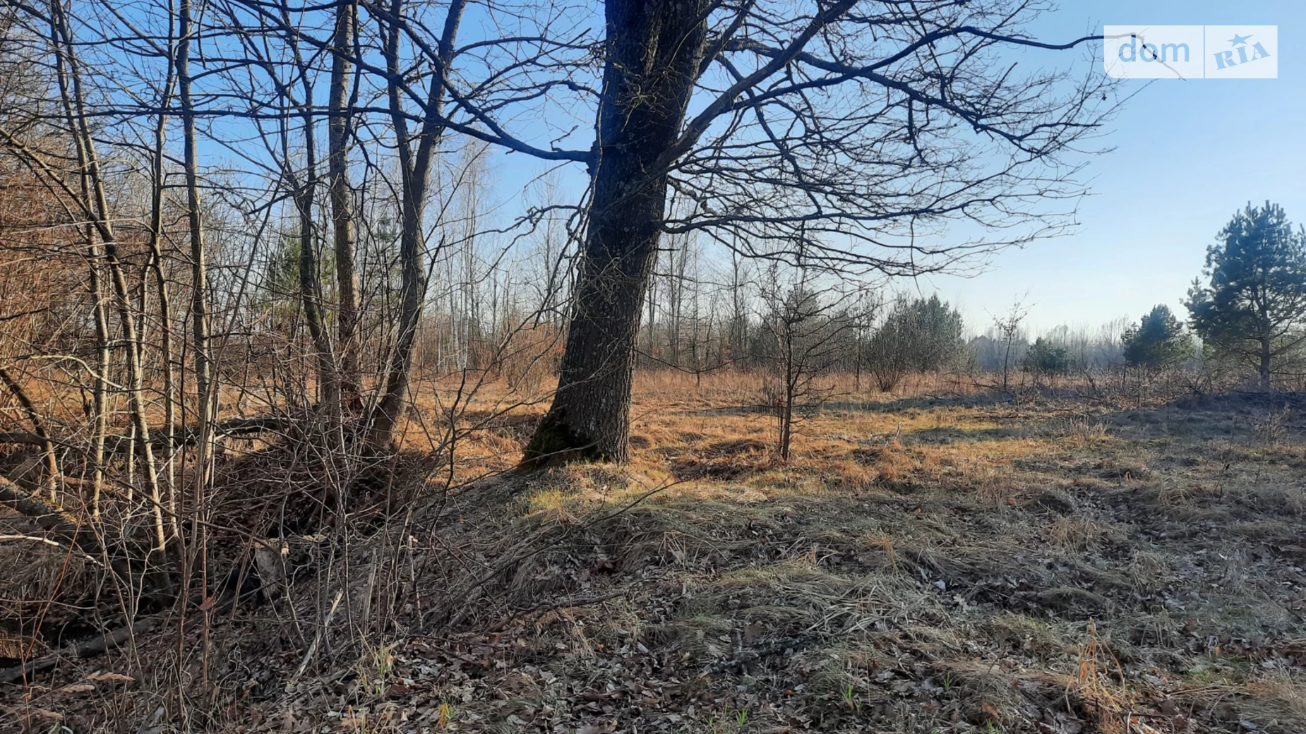 розвідників Любимовка (Вышгород), цена: 18000 $ - фото 4