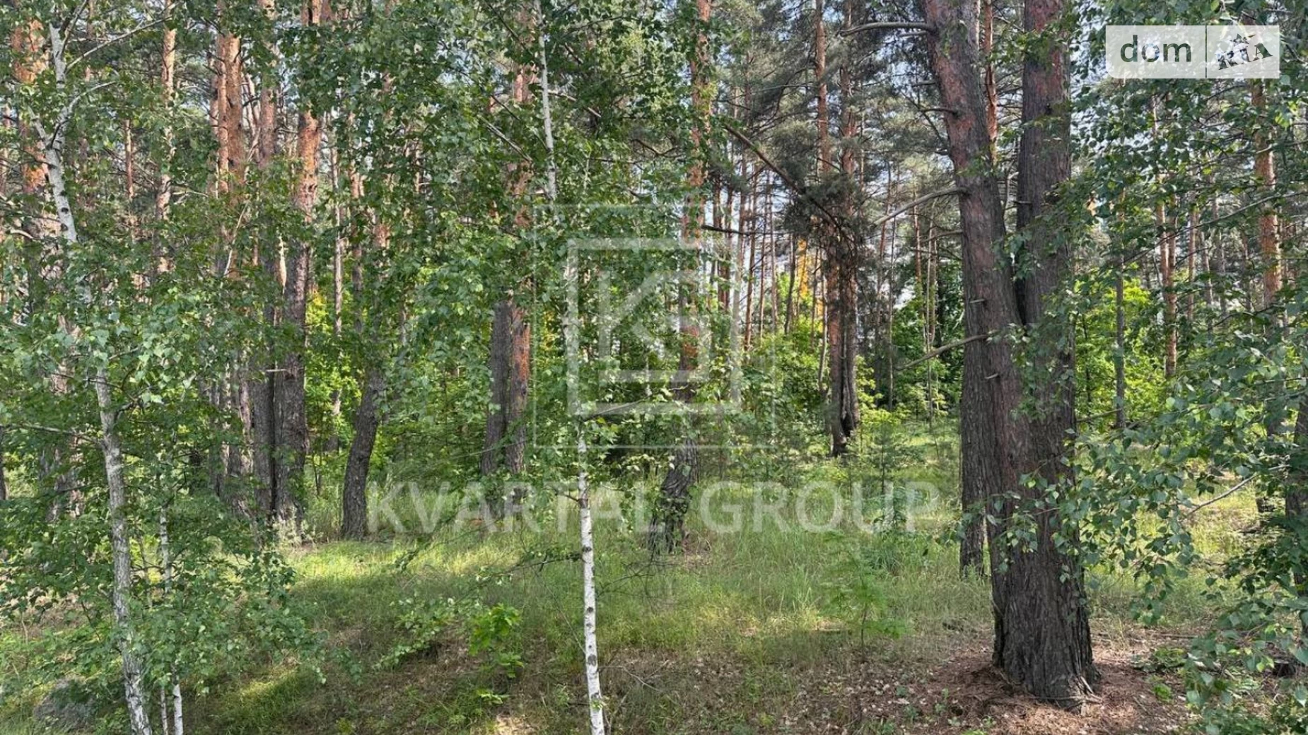 Гостомельское шоссе Гостомель, цена: 235000 $ - фото 2