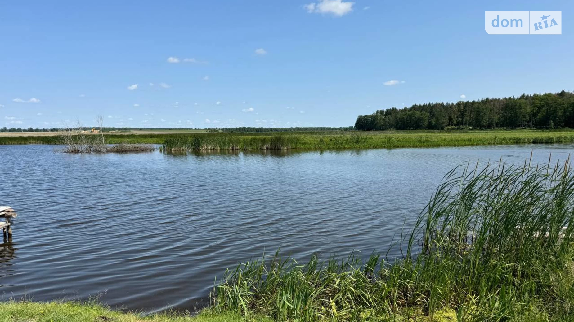 вул. Мічуріна Сосонка, цена: 8000 $ - фото 4