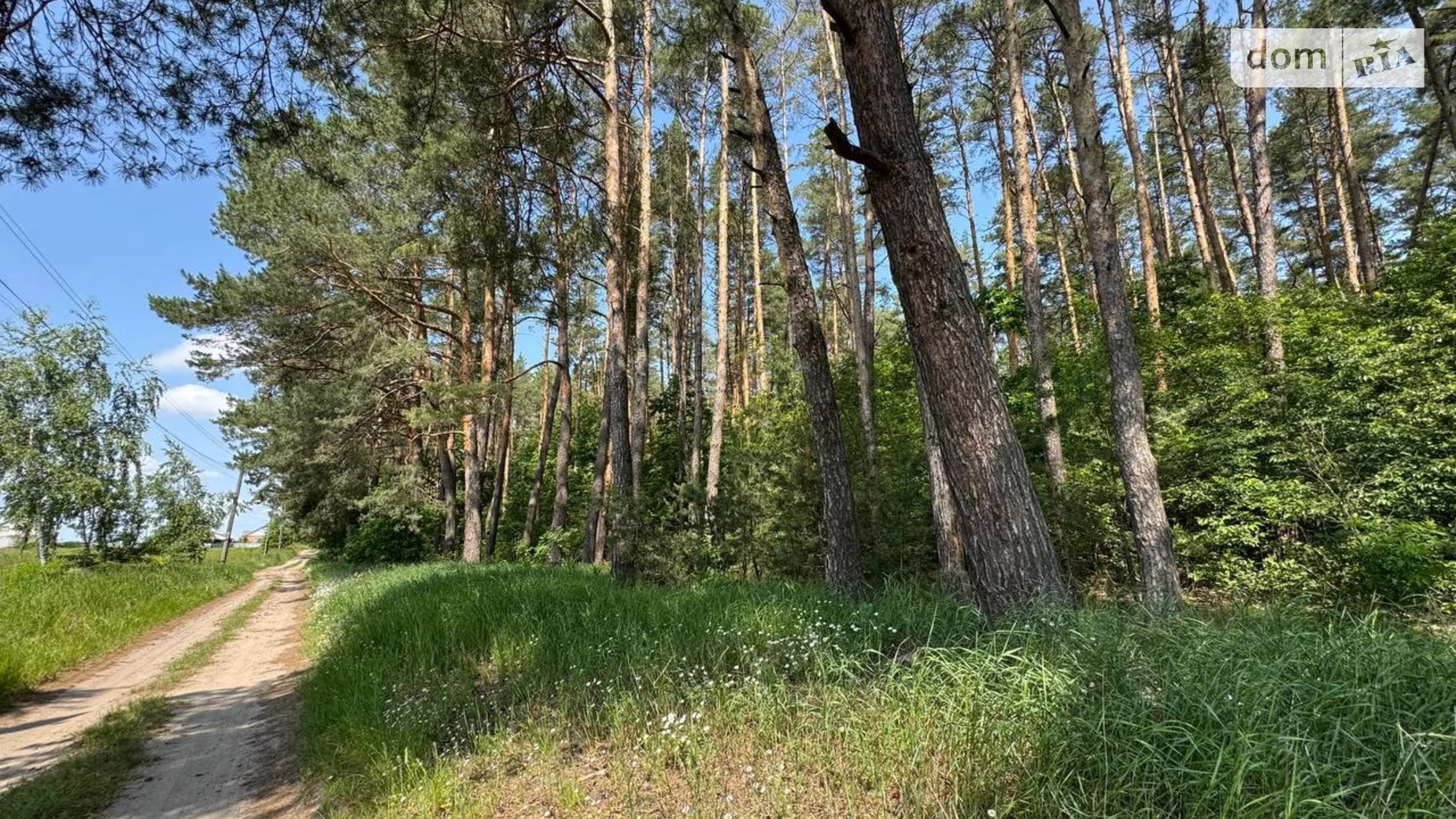 вул. Мічуріна Сосонка, цена: 8000 $ - фото 5