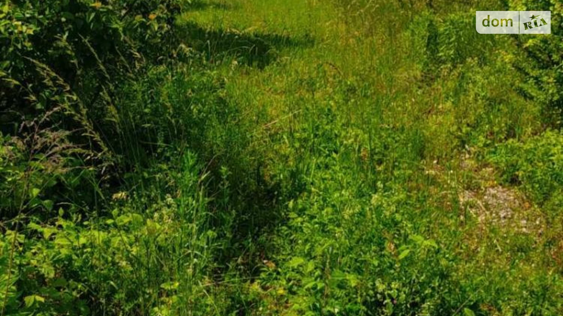 Продається земельна ділянка 12 соток у Тернопільській області, цена: 21000 $ - фото 5