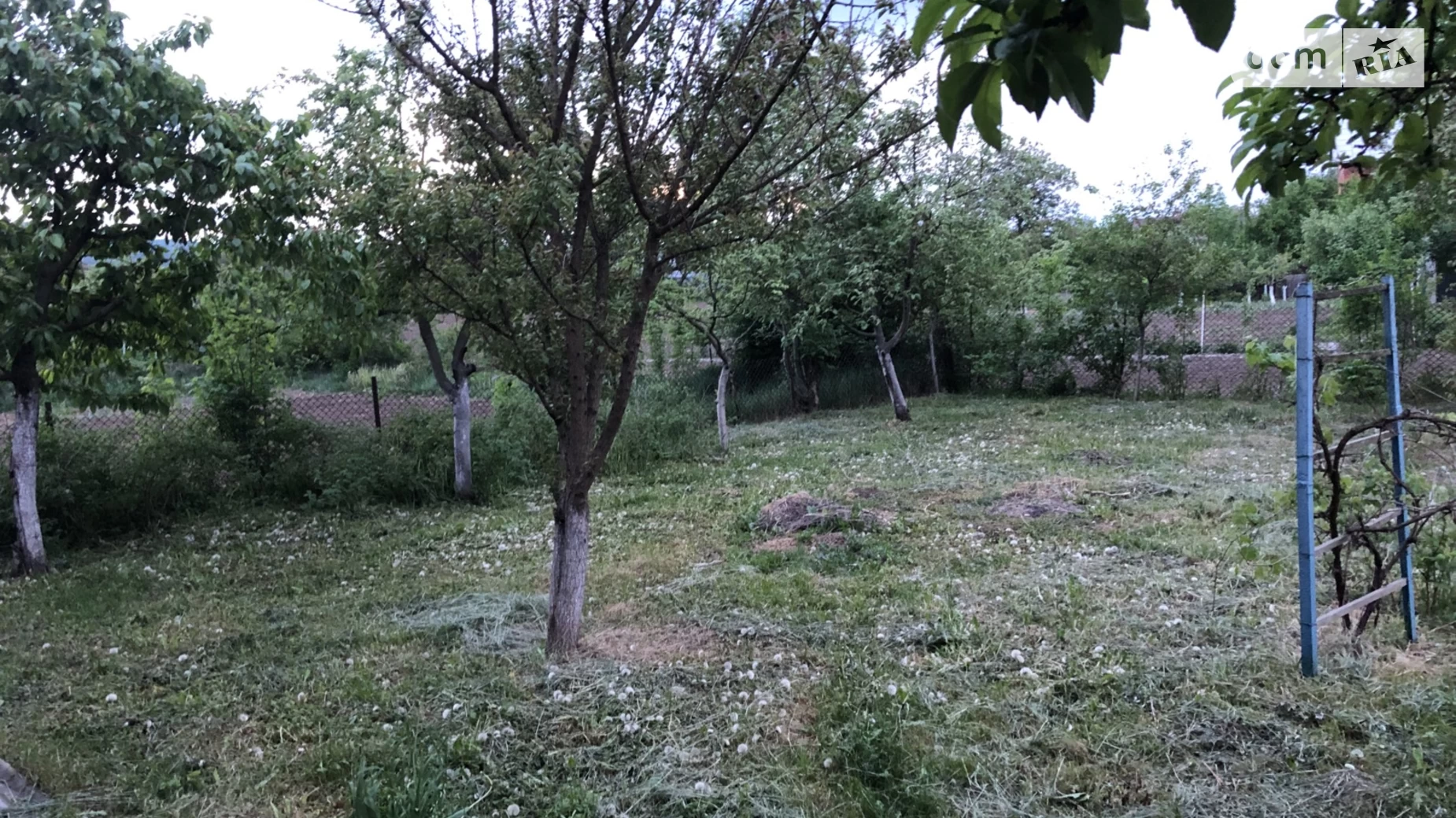 Продается одноэтажный дом 1081 кв. м с террасой, цена: 55000 $ - фото 5