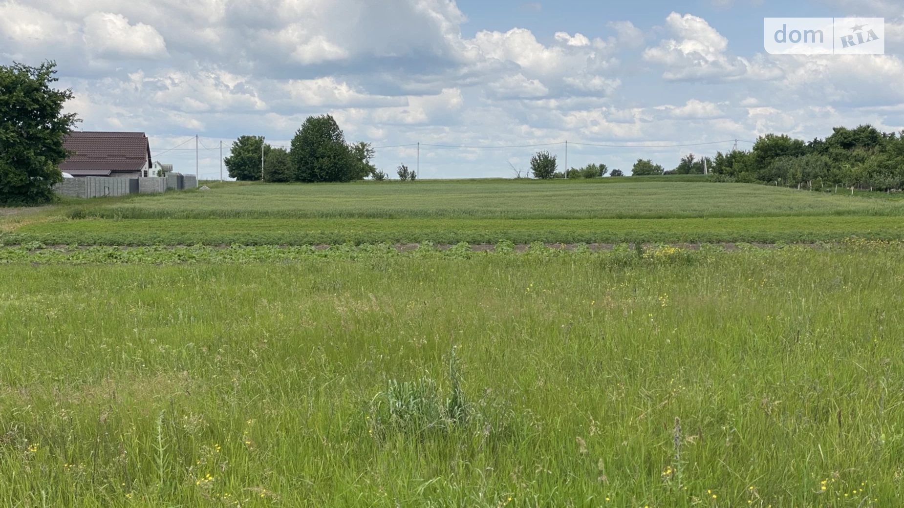 вул. Лисенка Турбів, цена: 5500 $ - фото 4