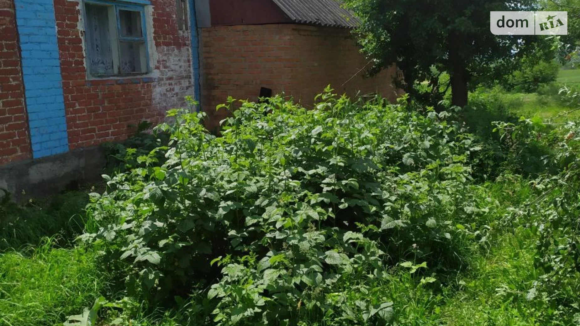 Продается одноэтажный дом 90 кв. м с беседкой, цена: 50000 $ - фото 4