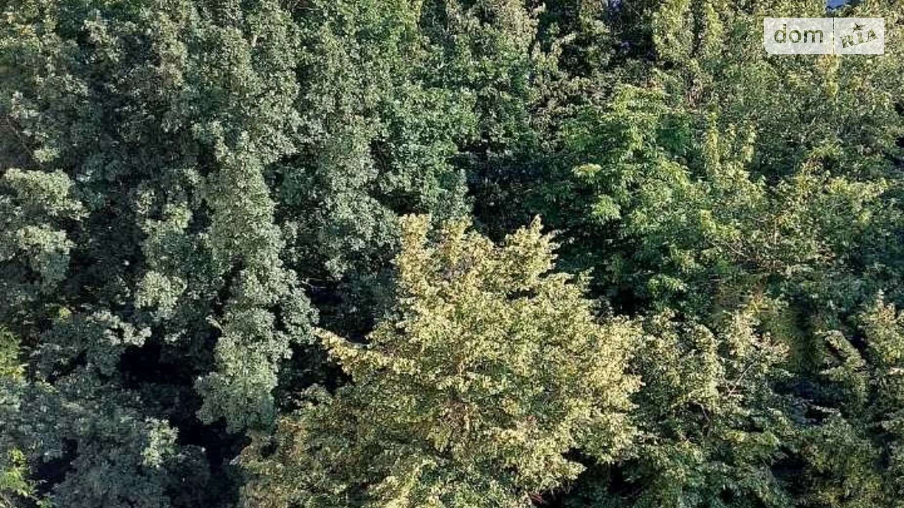 Продається 3-кімнатна квартира 60 кв. м у Києві, вул. Новогоспітальна(Щорса), 5А - фото 3