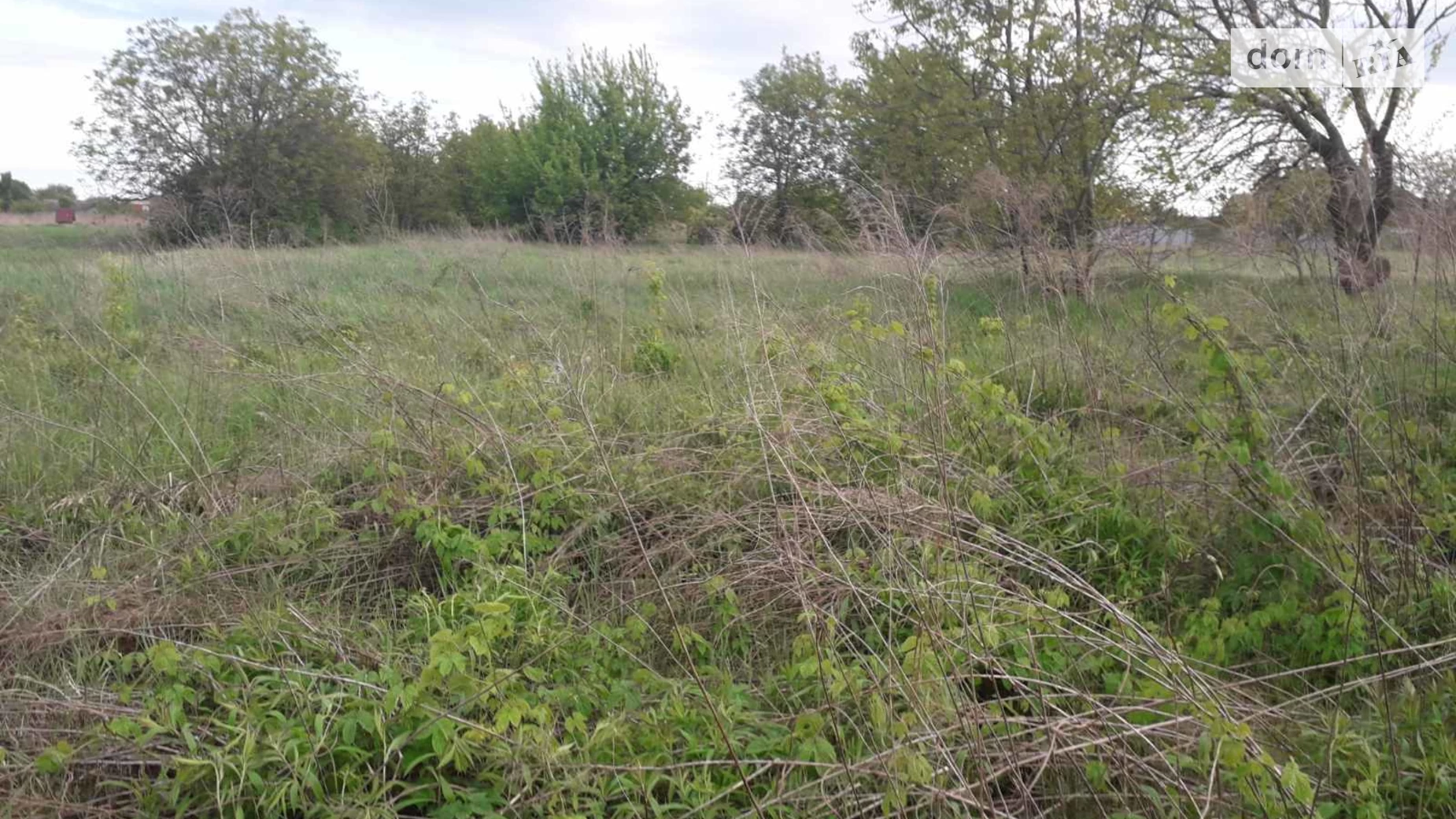 квітнева Борисів Васильків, цена: 8000 $ - фото 5