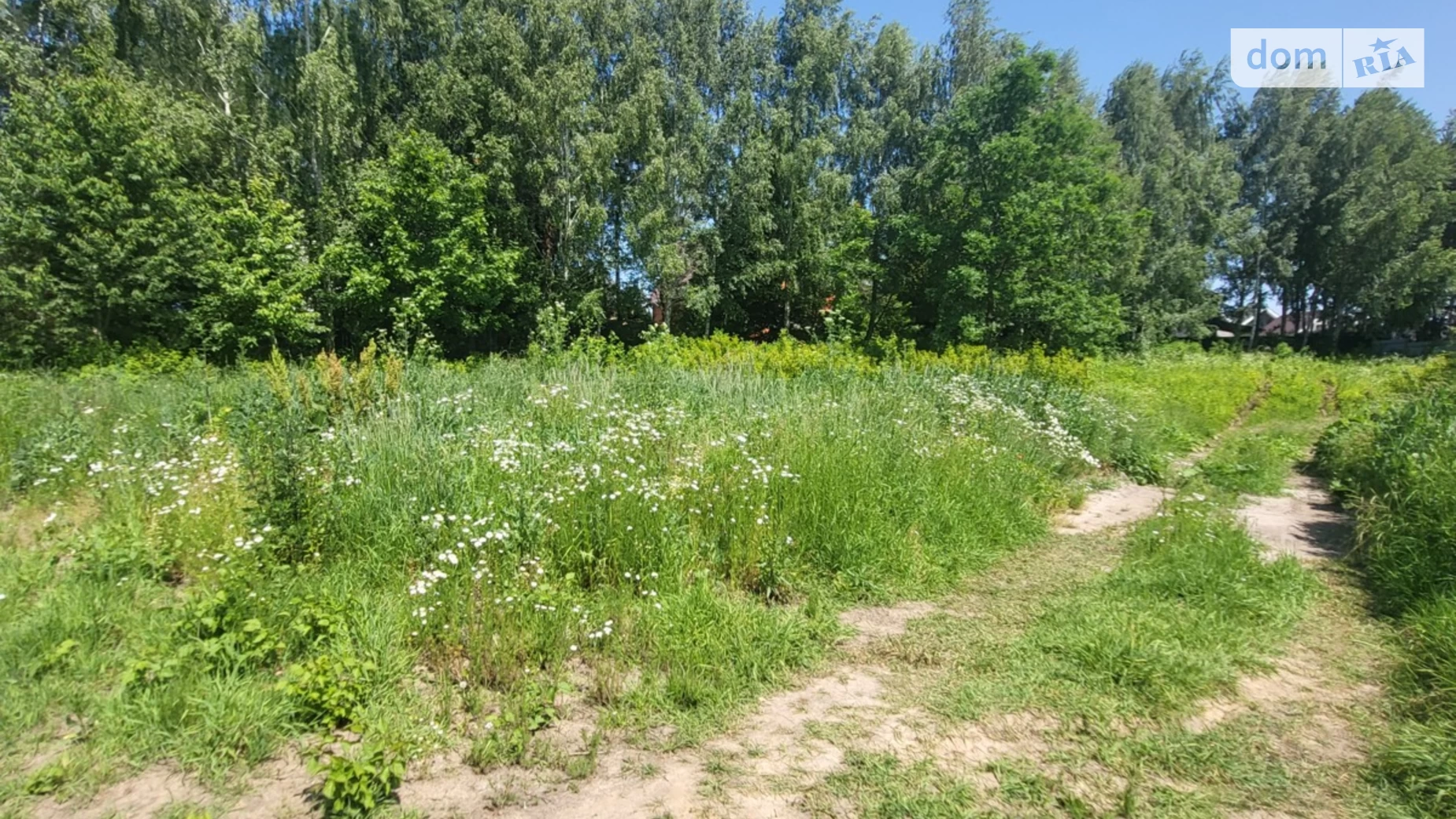 пров. Софіївський Агрономічне, цена: 40000 $ - фото 3
