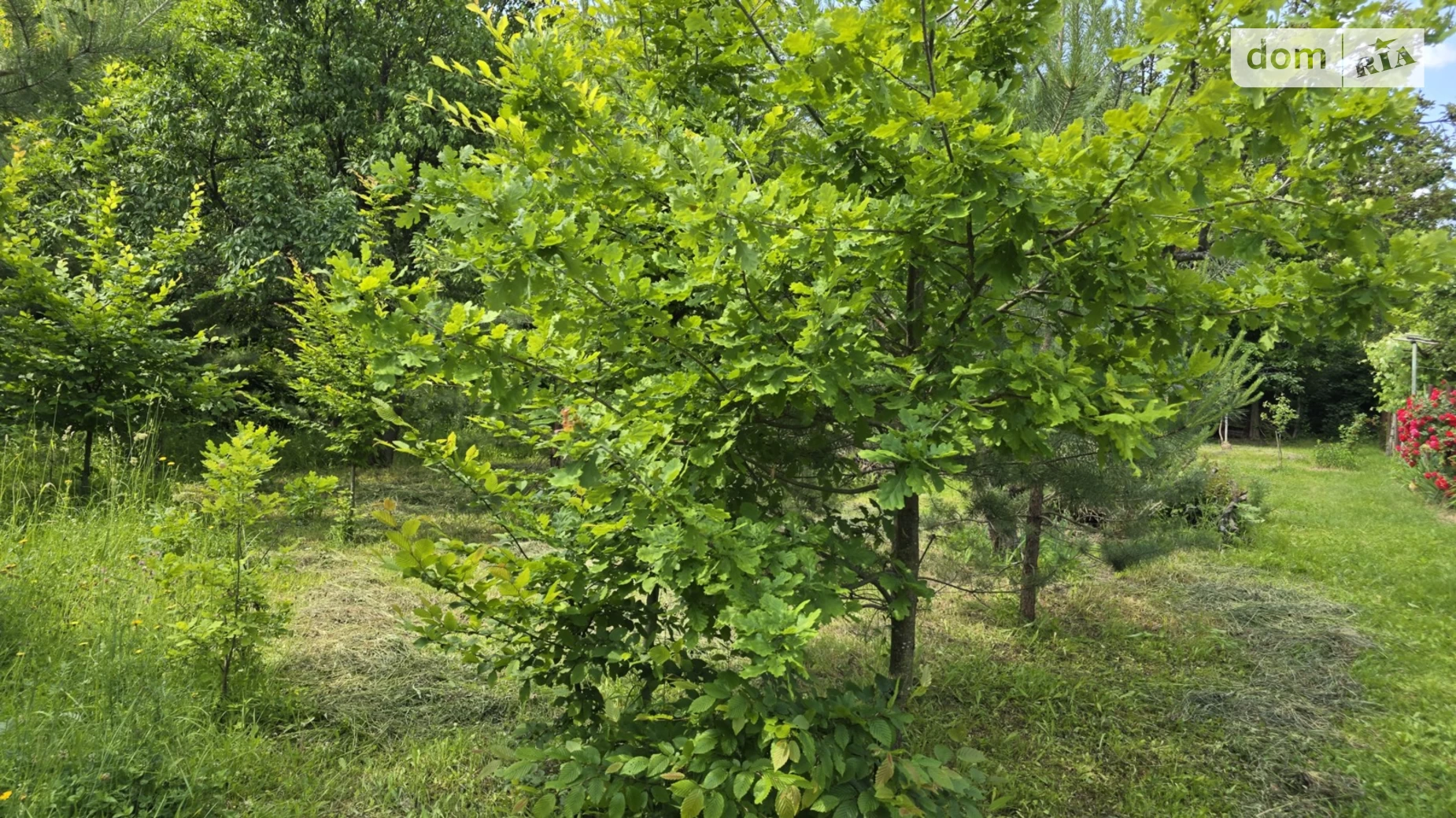Продається земельна ділянка 5 соток у Вінницькій області, цена: 4500 $ - фото 3
