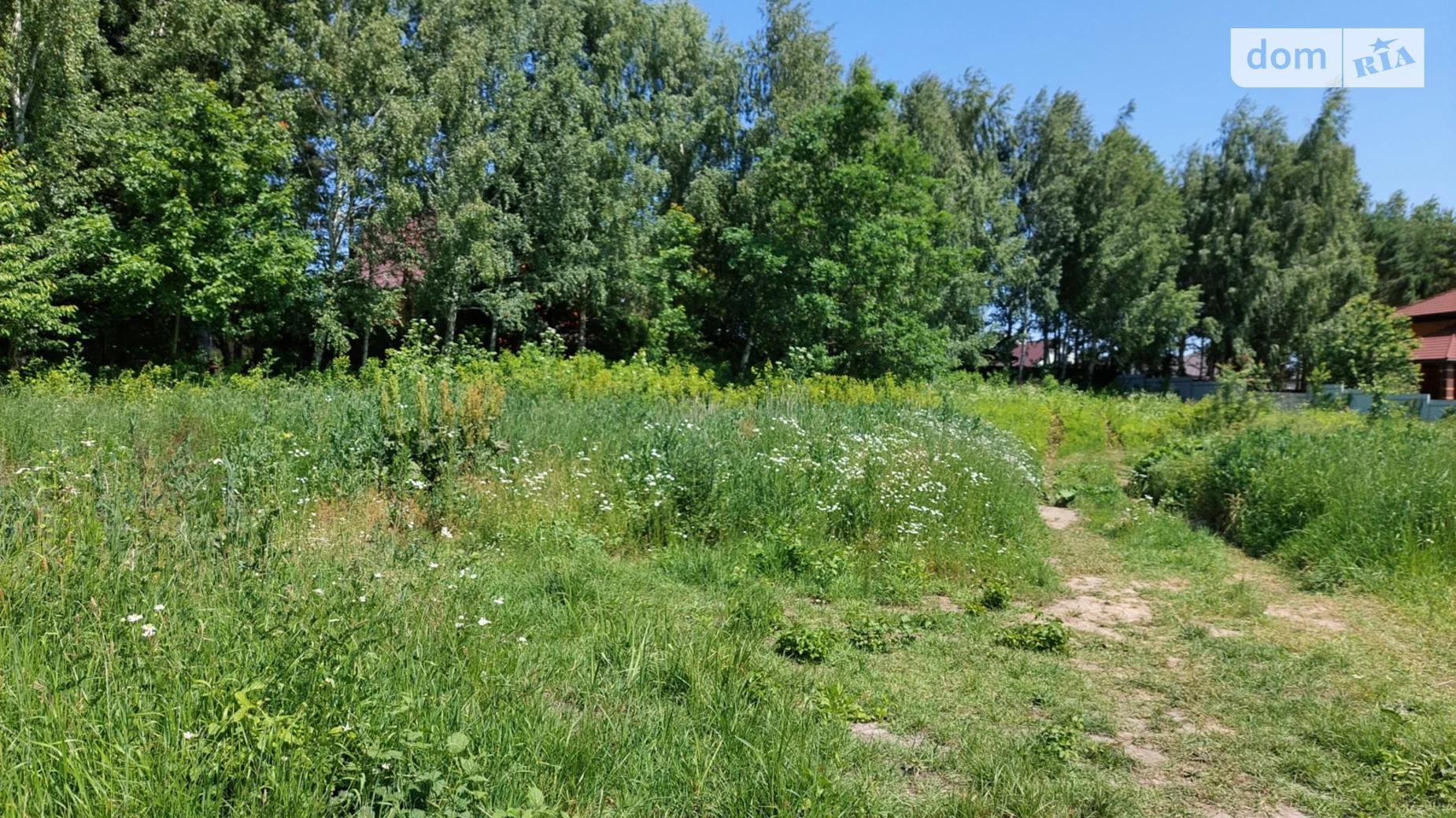 пер. Софиевский Агрономичное, цена: 40000 $ - фото 2
