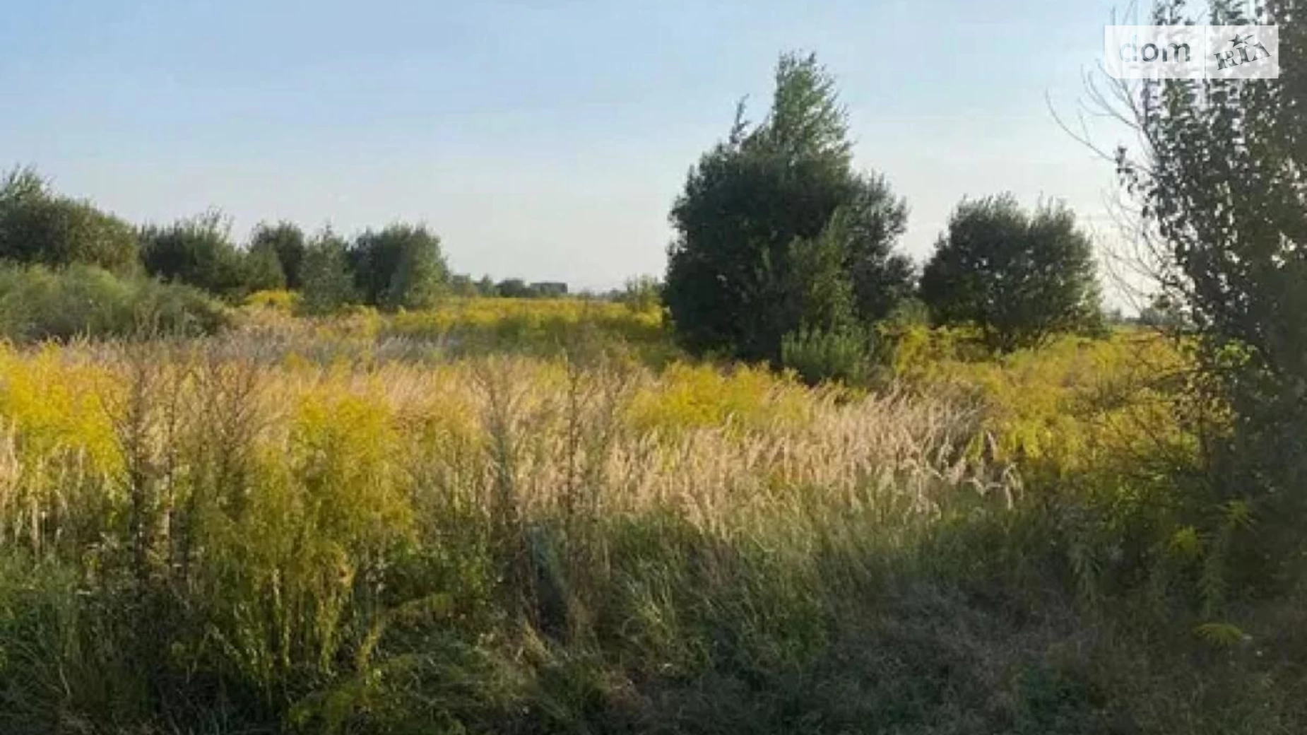 Продається земельна ділянка 30.16 соток у Івано-Франківській області, цена: 84000 $ - фото 4