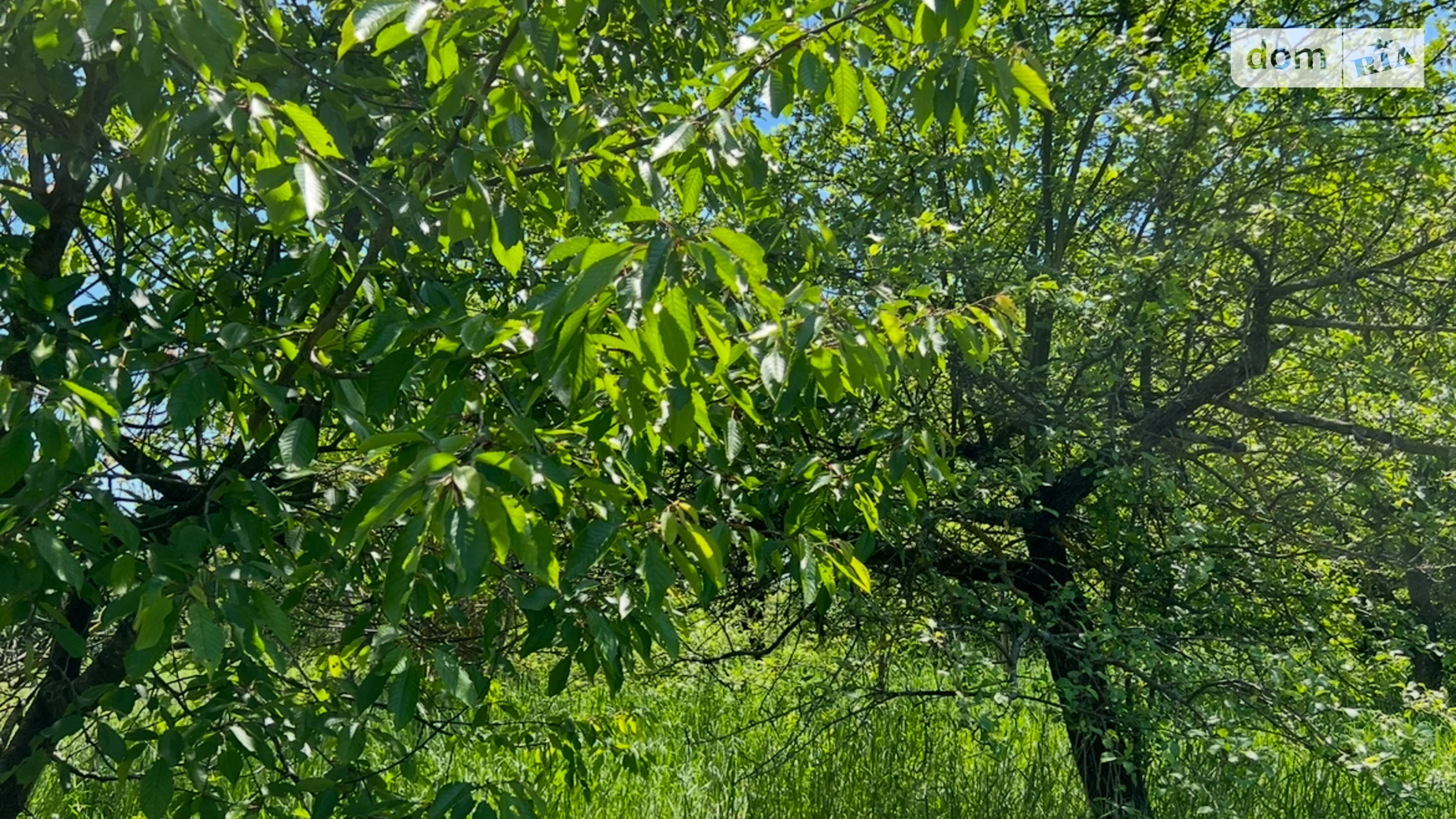 вул. Зарічна(Черняхівського) Лукашівка (Літин), цена: 15000 $ - фото 5
