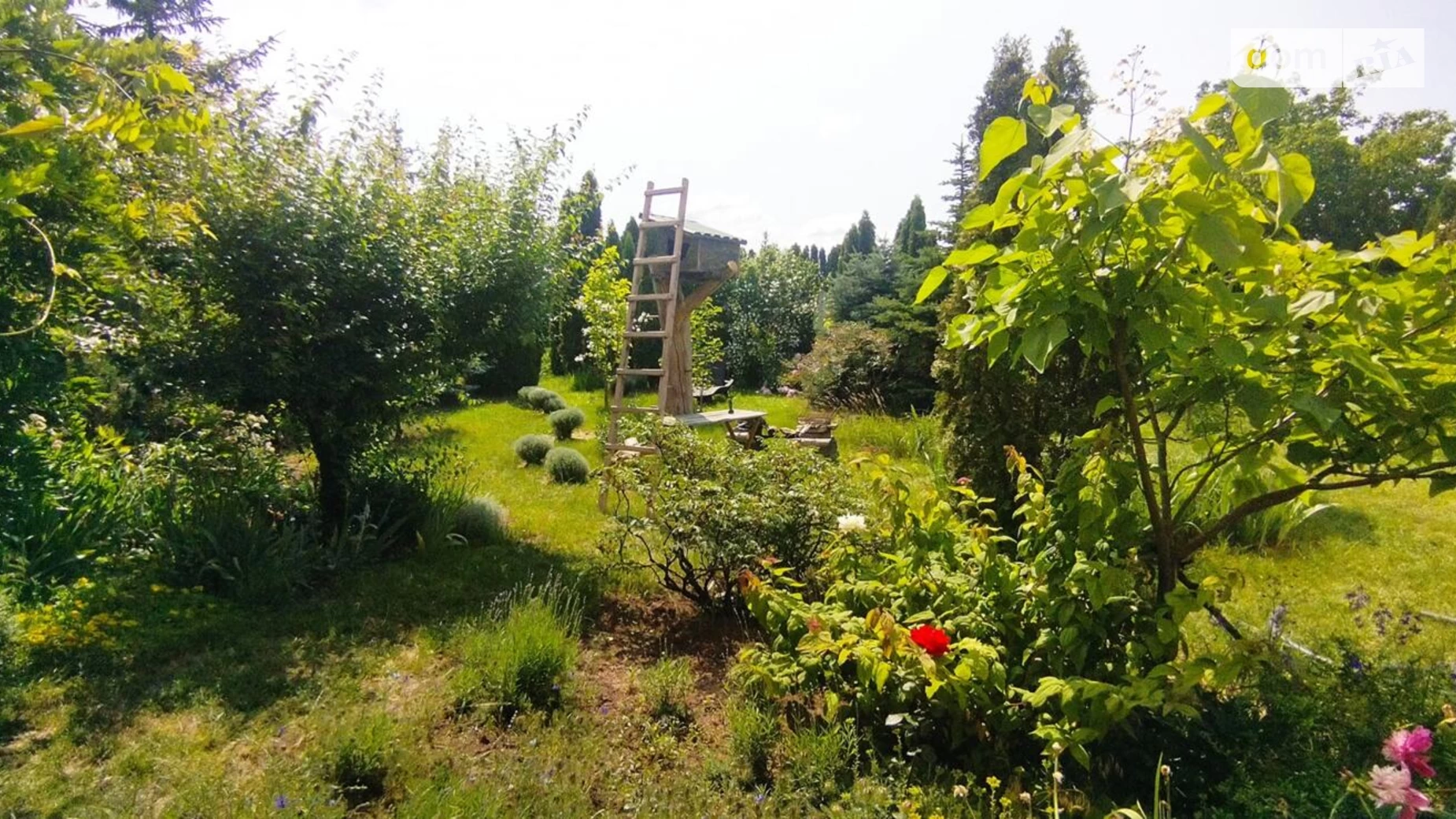 Продается дом на 2 этажа 210 кв. м с подвалом, цена: 215000 $ - фото 3