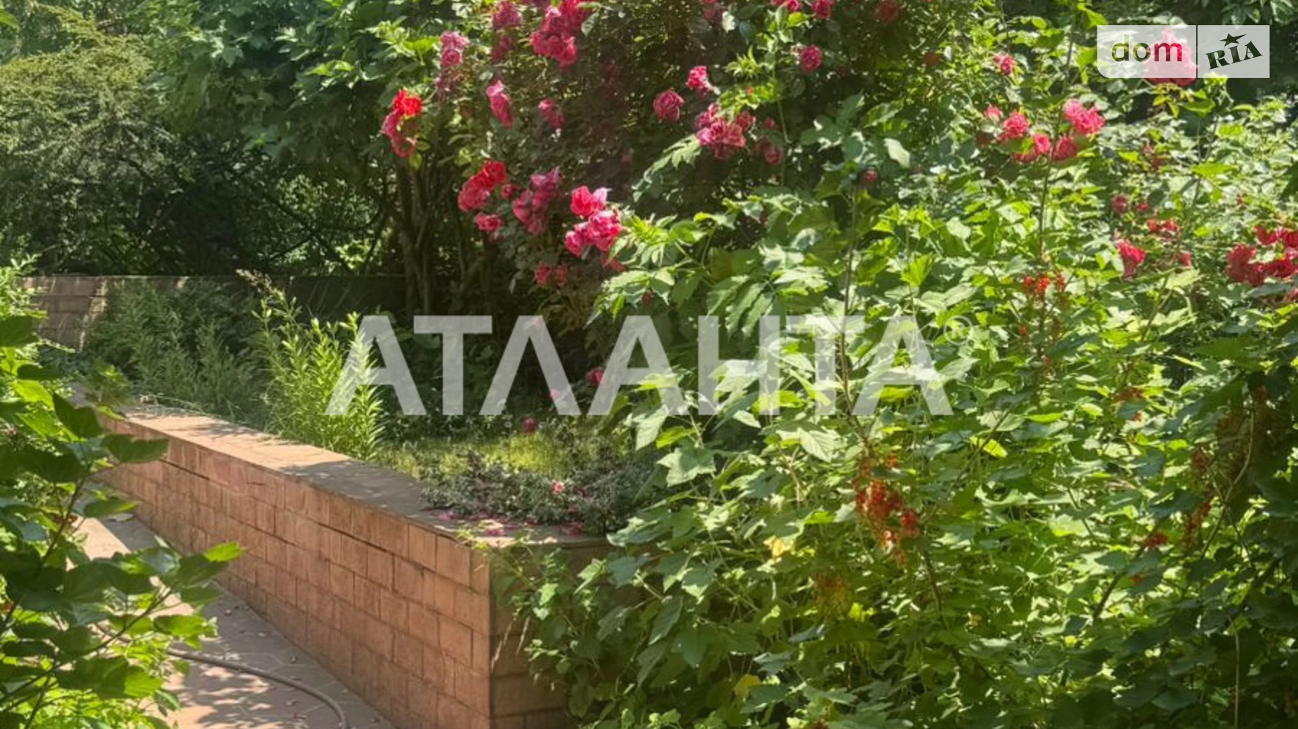 Продається земельна ділянка 7.26 соток у Одеській області, цена: 270000 $ - фото 5