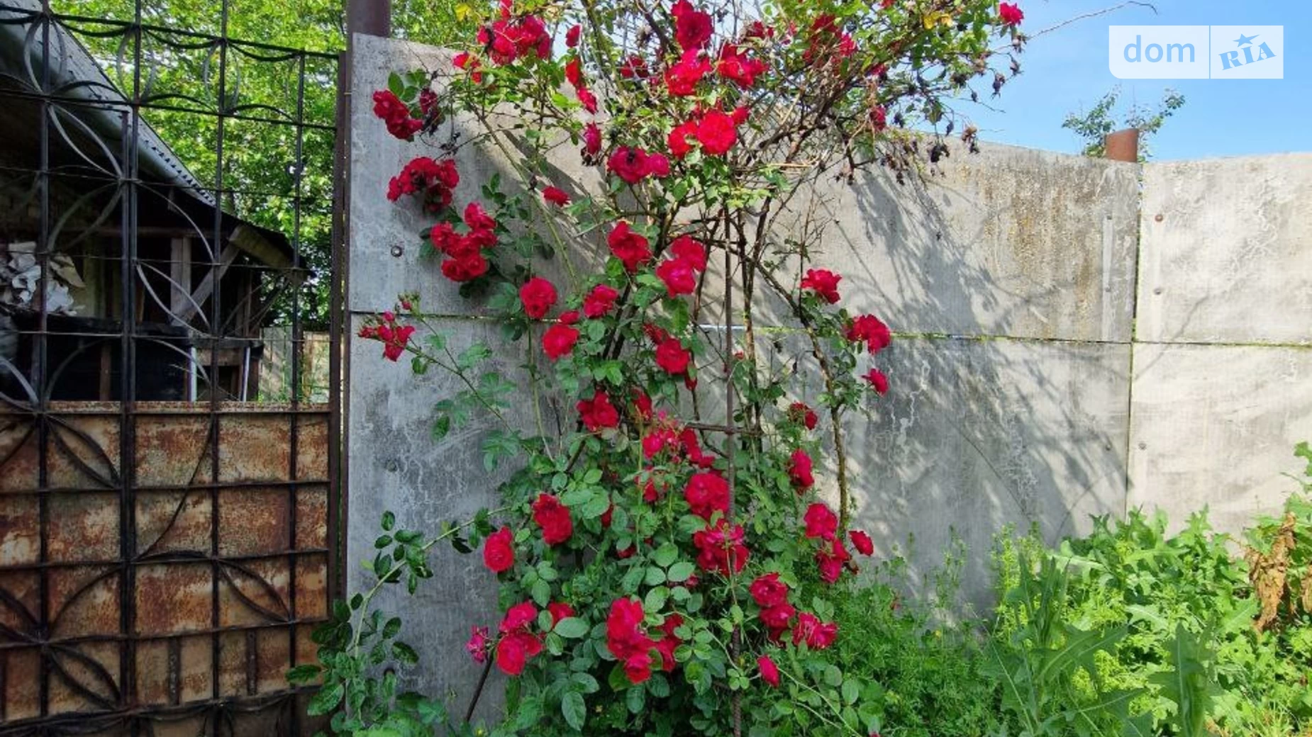Продається одноповерховий будинок 85.8 кв. м з подвалом, цена: 40000 $ - фото 3