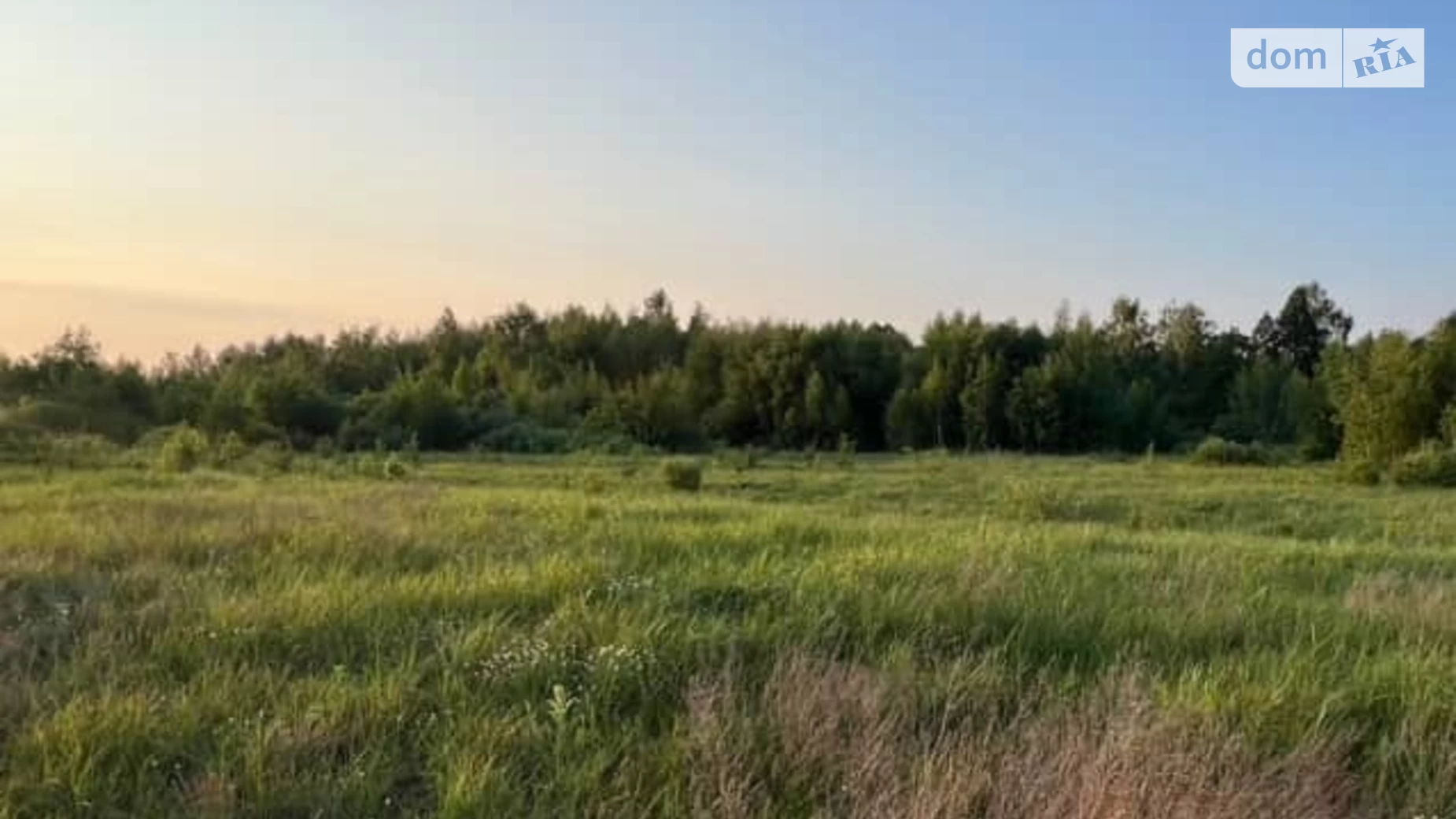 вулиця Рисьова Дружня, цена: 12000 $ - фото 3