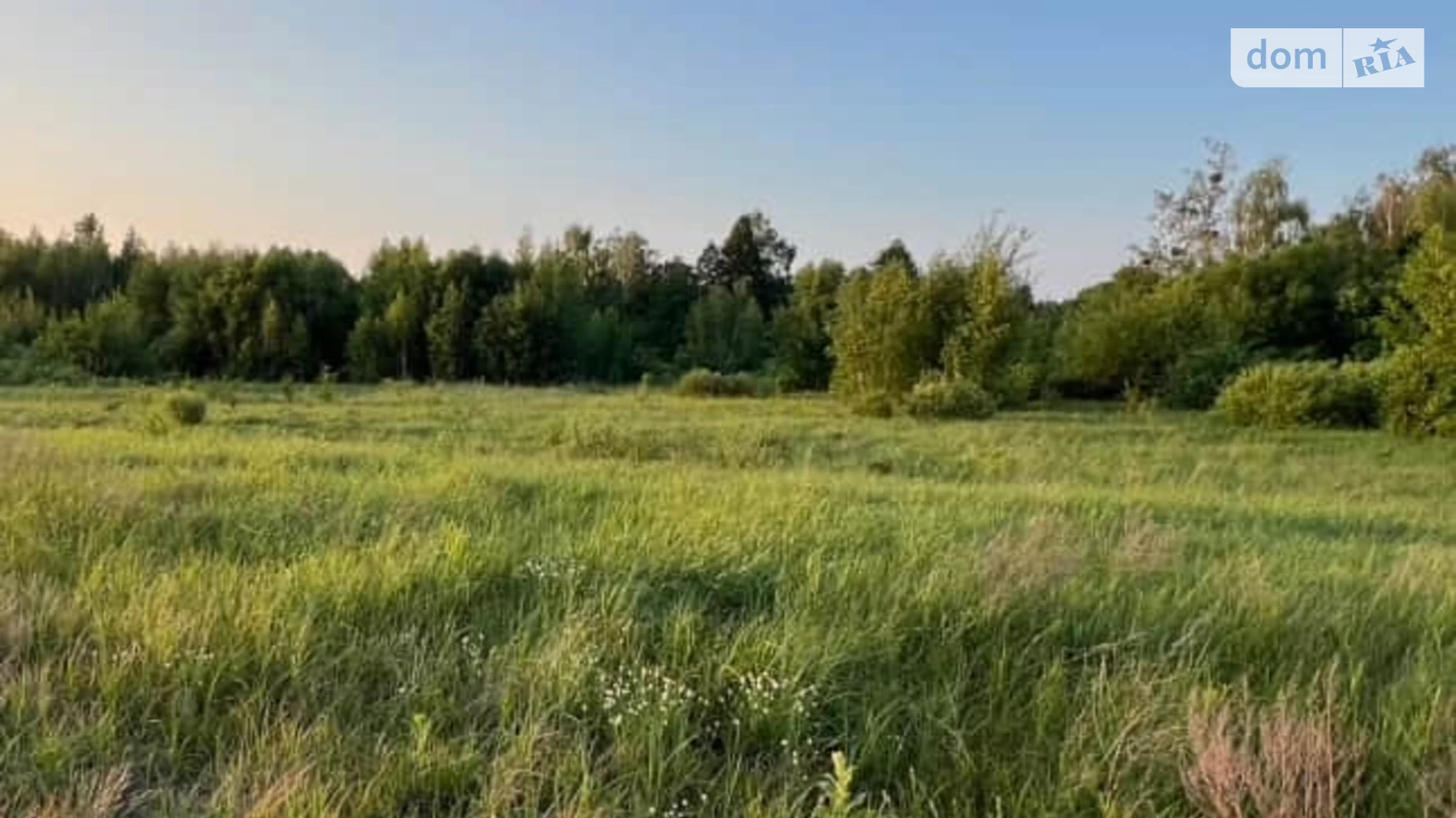 вулиця Рисьова Дружня, цена: 12000 $ - фото 4