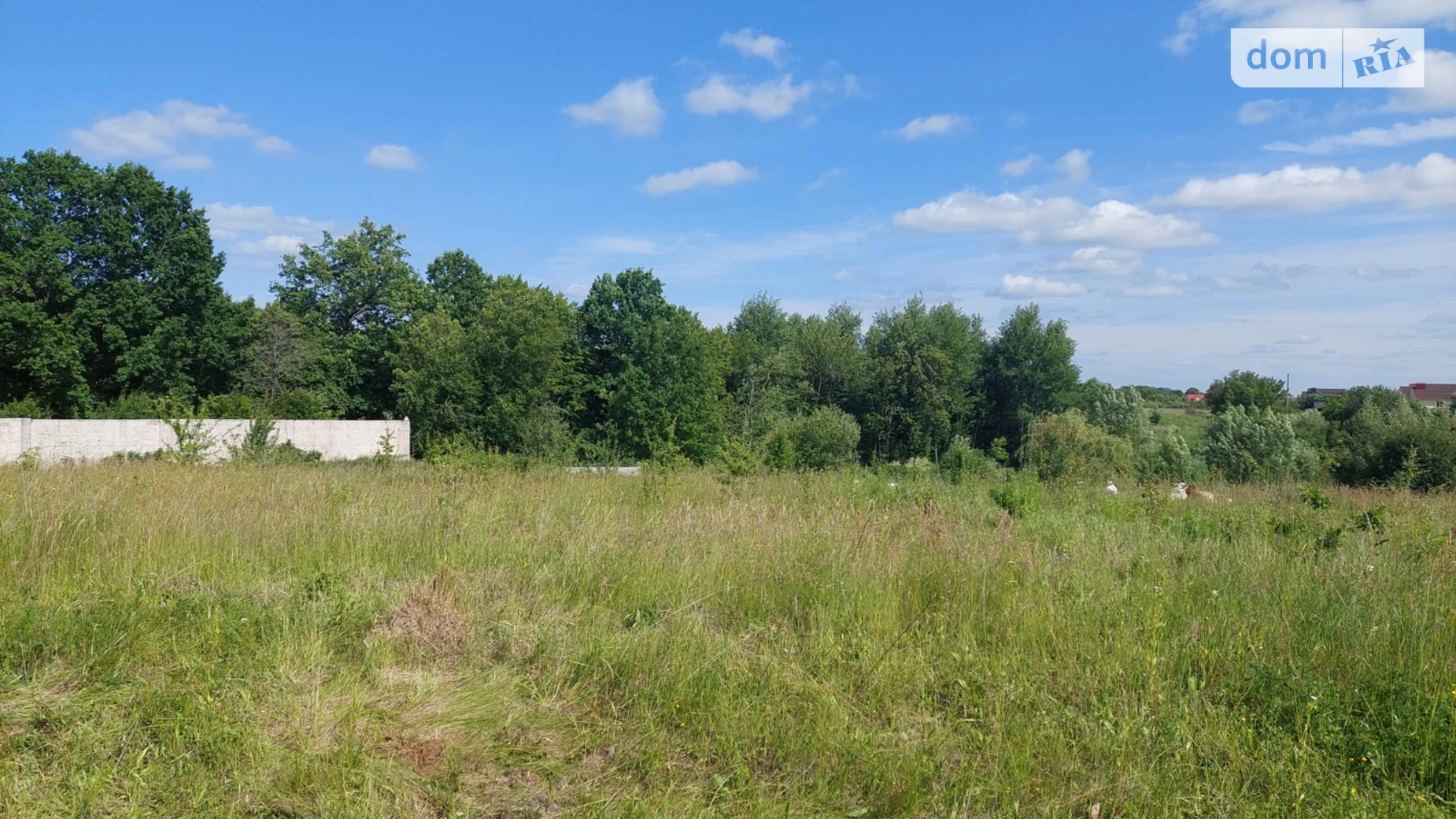 ул. Липовая Якушинцы, цена: 16000 $ - фото 5