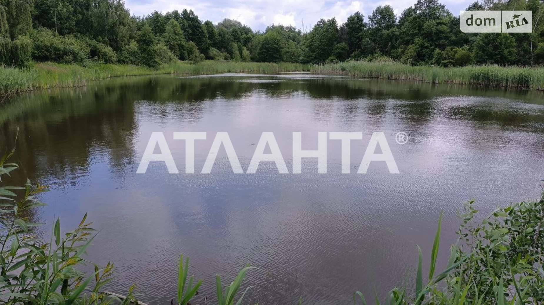Продается земельный участок 200 соток в Львовской области, цена: 80000 $ - фото 5
