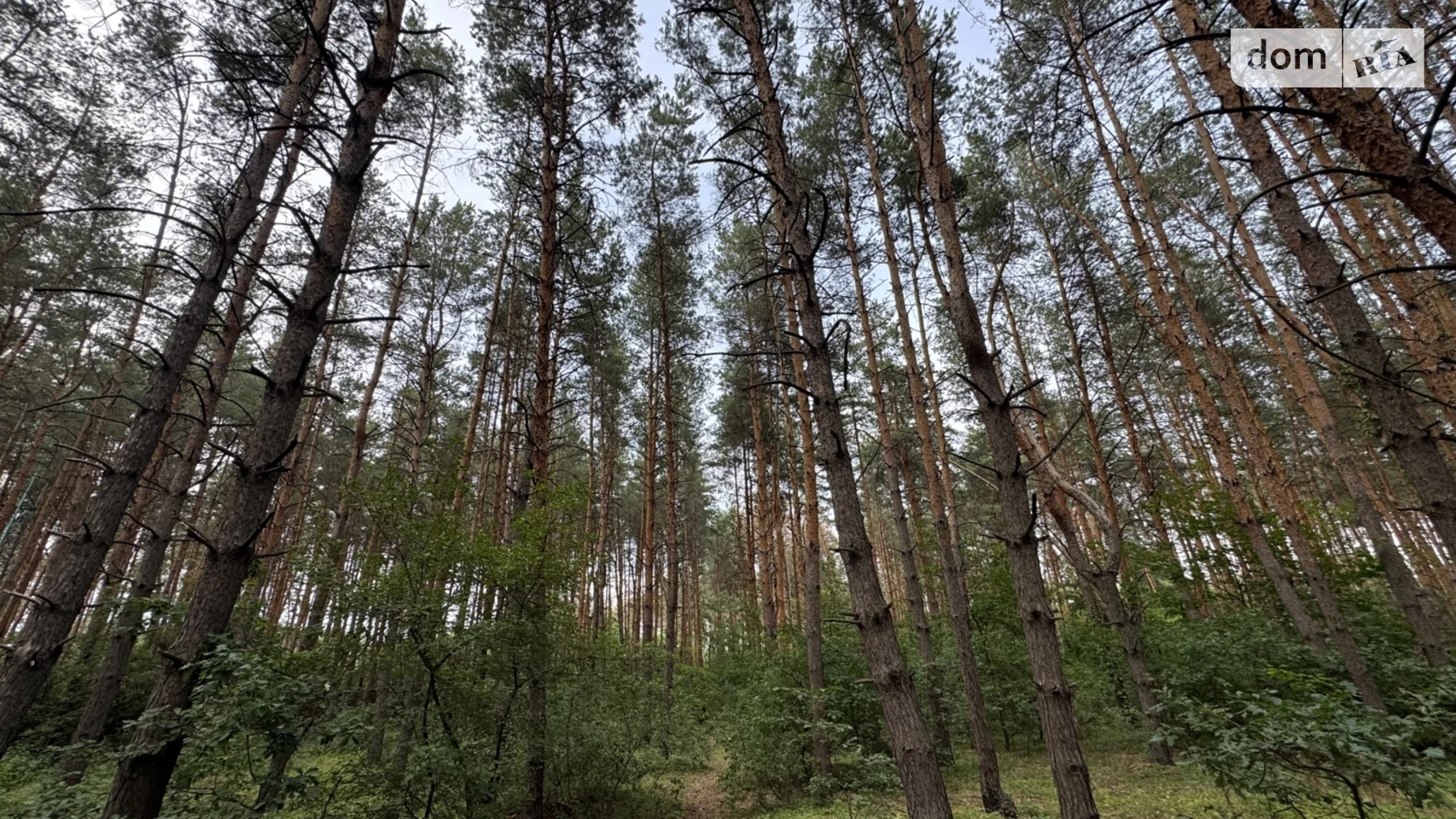 Продається земельна ділянка 25 соток у Дніпропетровській області, цена: 55000 $ - фото 3