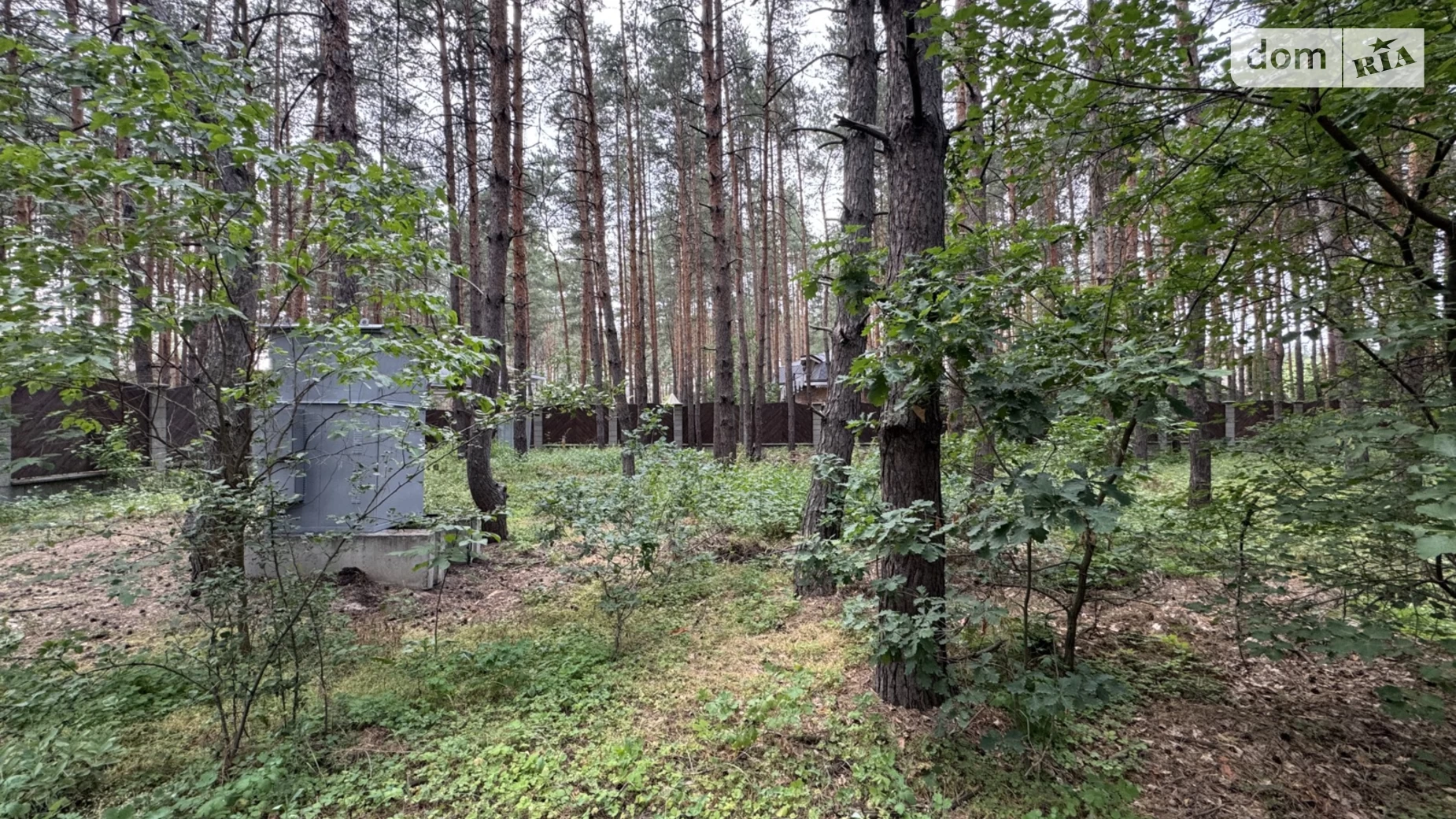 Продається земельна ділянка 25 соток у Дніпропетровській області, цена: 55000 $ - фото 2