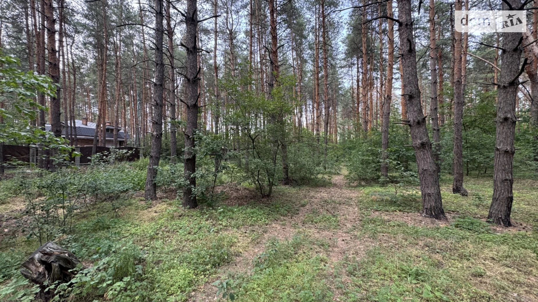 Продається земельна ділянка 25 соток у Дніпропетровській області, цена: 55000 $ - фото 4