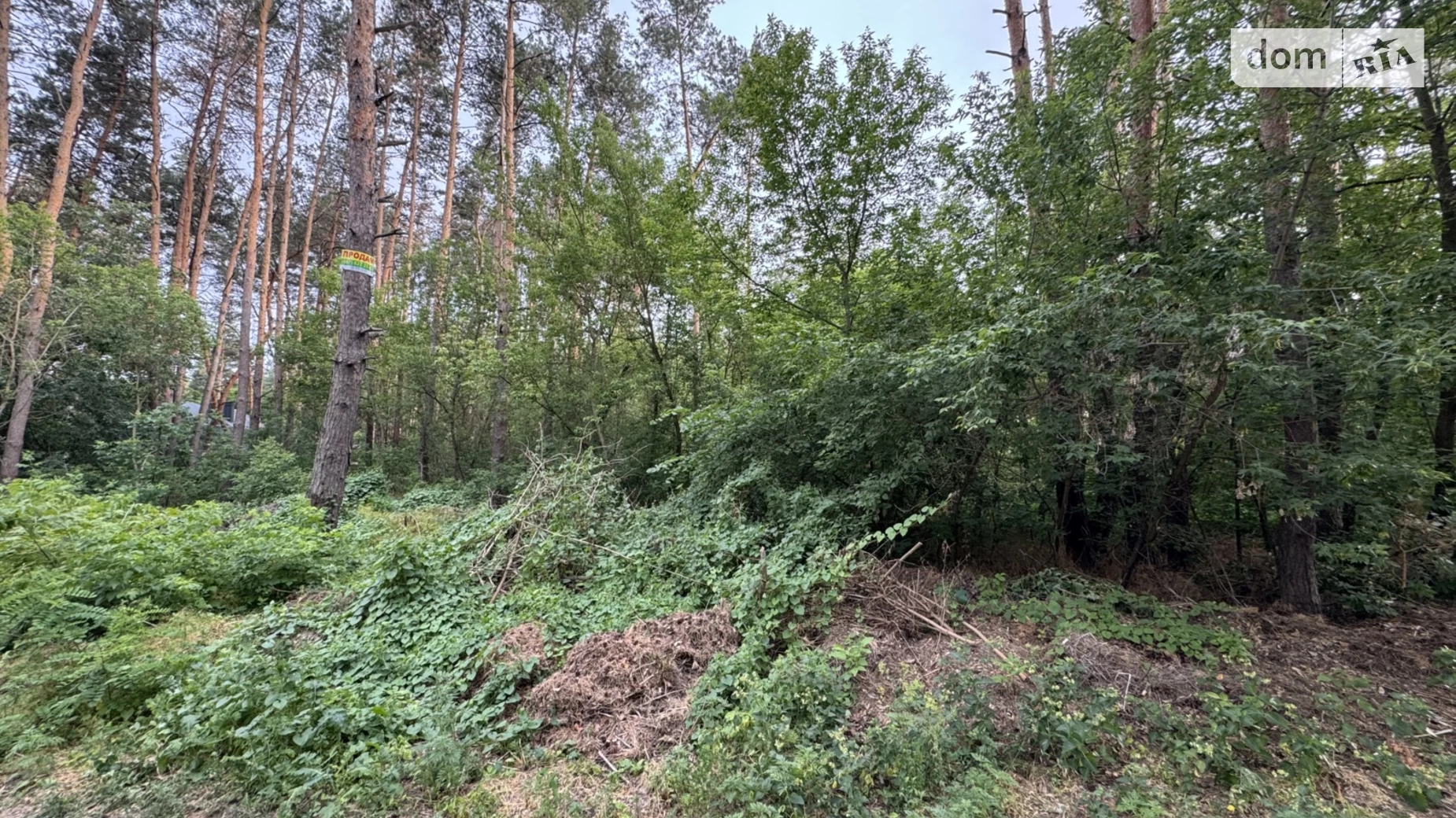 Продается земельный участок 15 соток в Днепропетровской области, цена: 60000 $ - фото 4