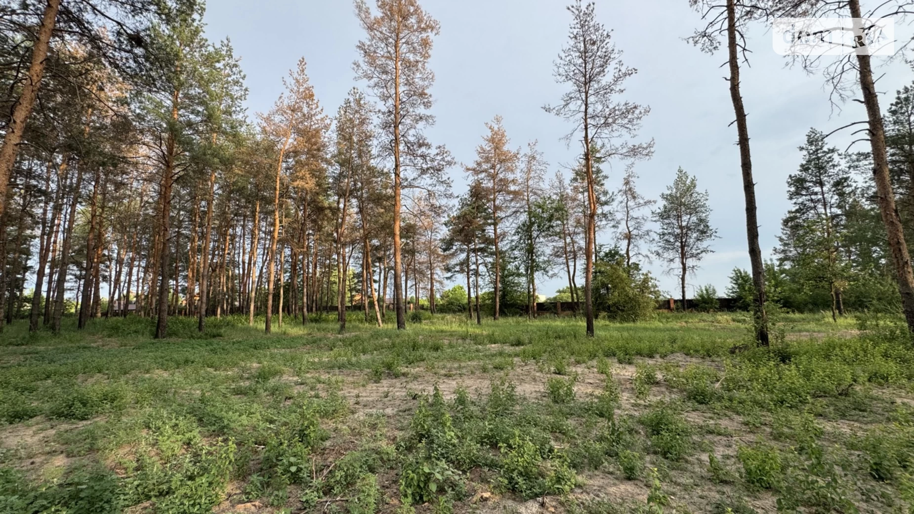 Продается земельный участок 10 соток в Днепропетровской области, цена: 22000 $ - фото 2