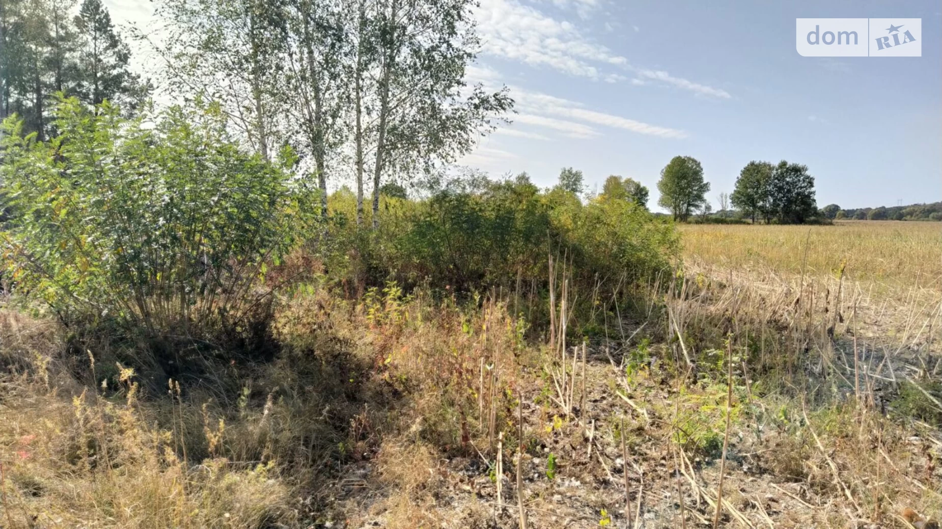 Продається земельна ділянка 43 соток у Черкаській області, цена: 75000 $ - фото 4
